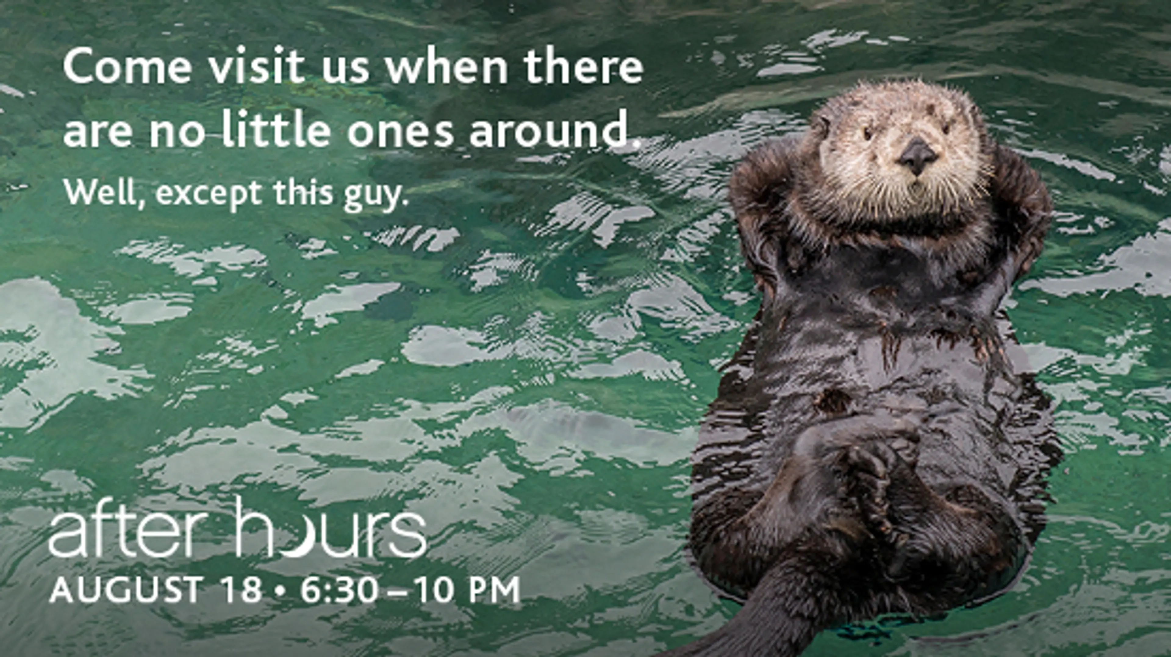 A Summer’s Eve at Vancouver Aquarium’s After Hours, Aug 18 (Free Ticket Giveaway!)
