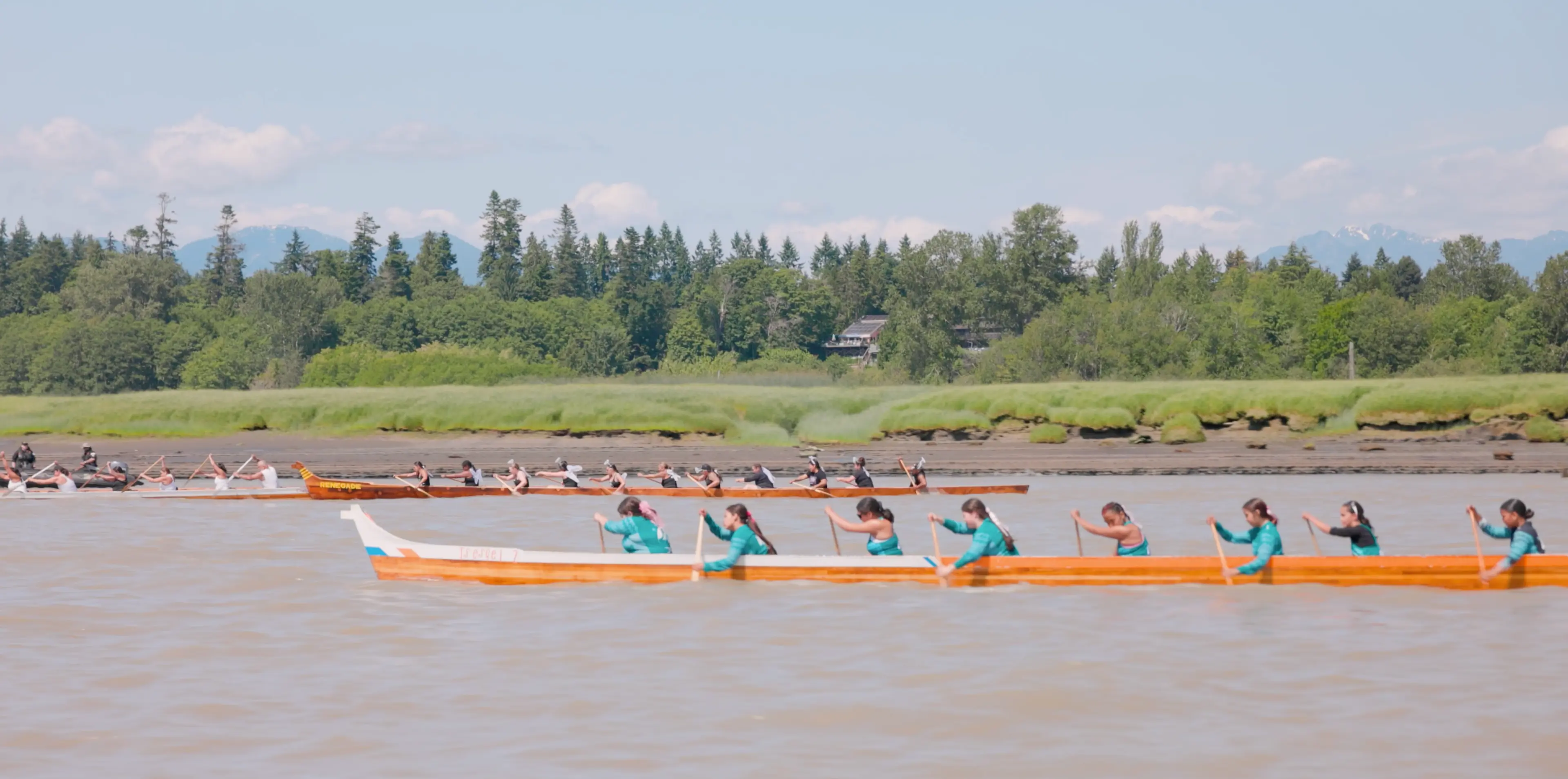 Two long wooden boats with people paddling on a river, green trees and mountains in the background under a clear sky.