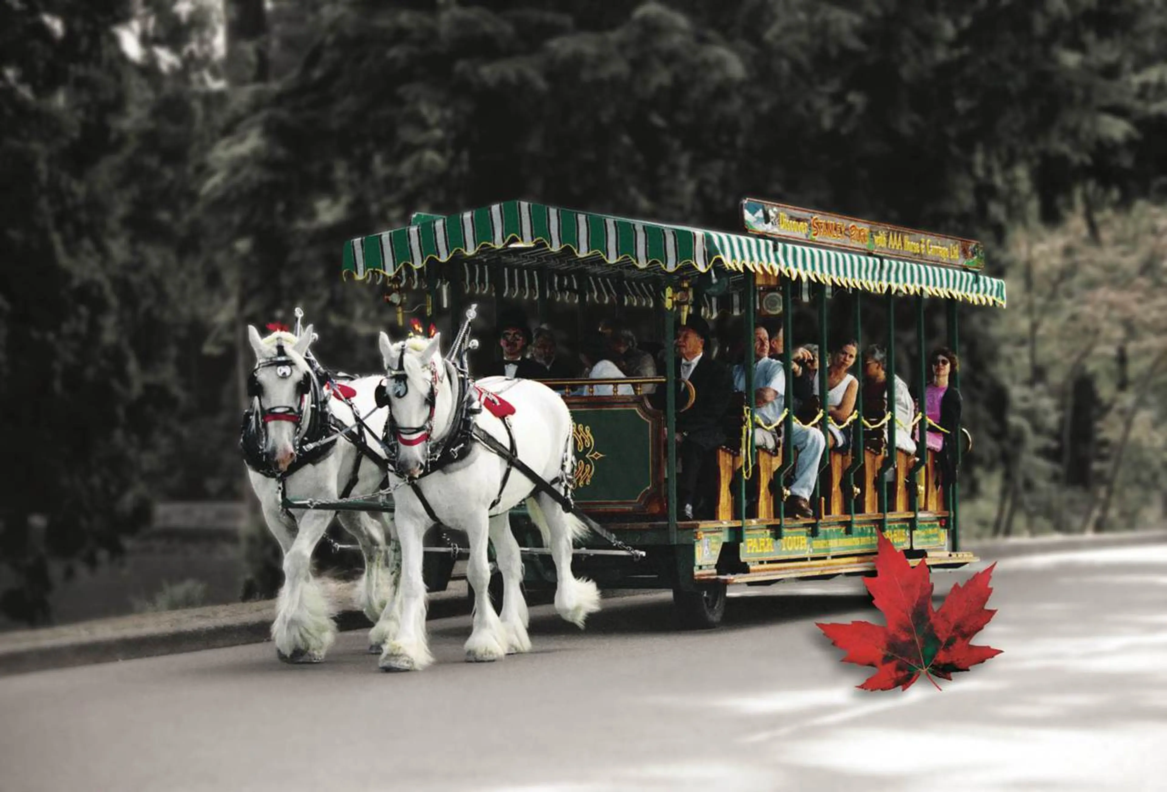 Stanley Park Horse-Drawn Tours Tram