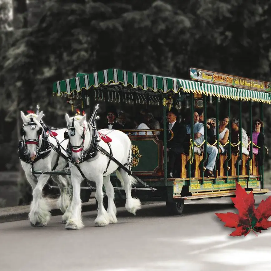 Stanley Park Horse-Drawn Tours Tram
