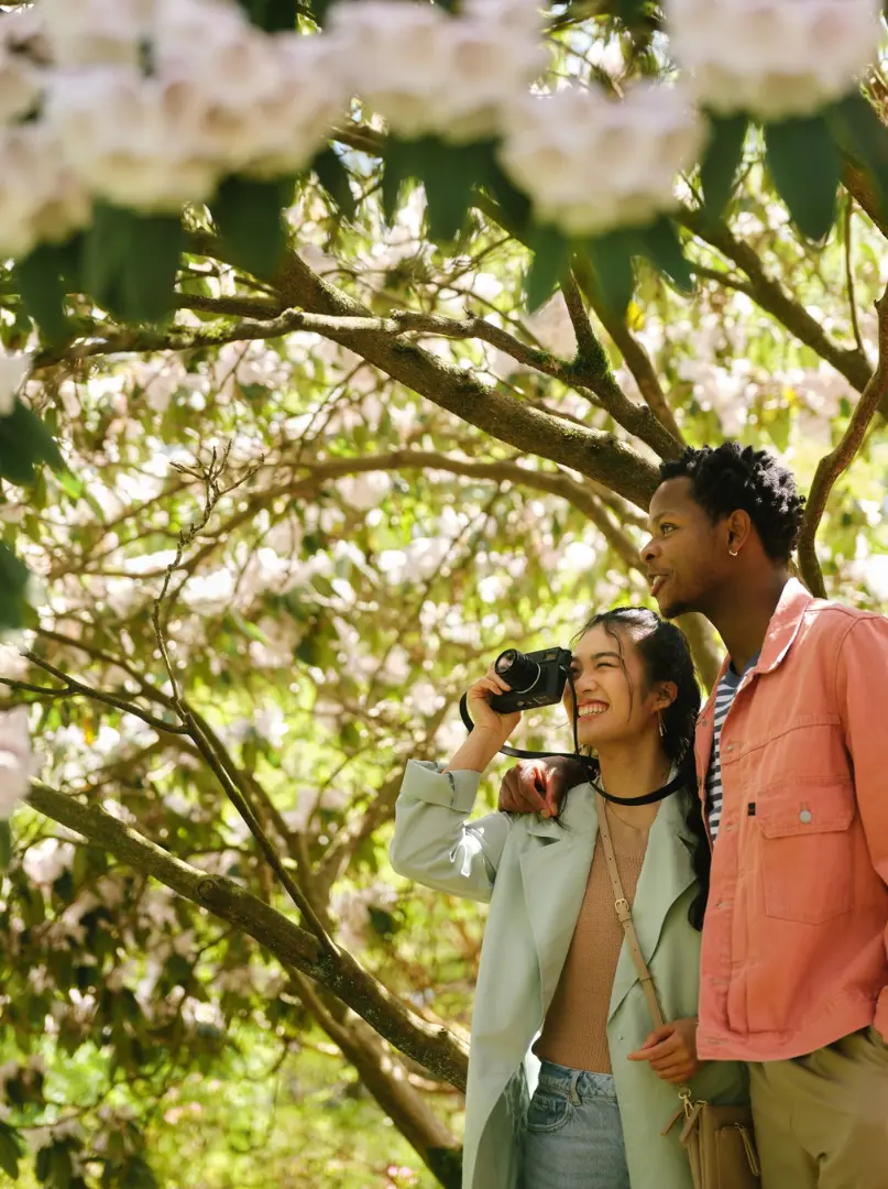 VanDusen Botanical Garden