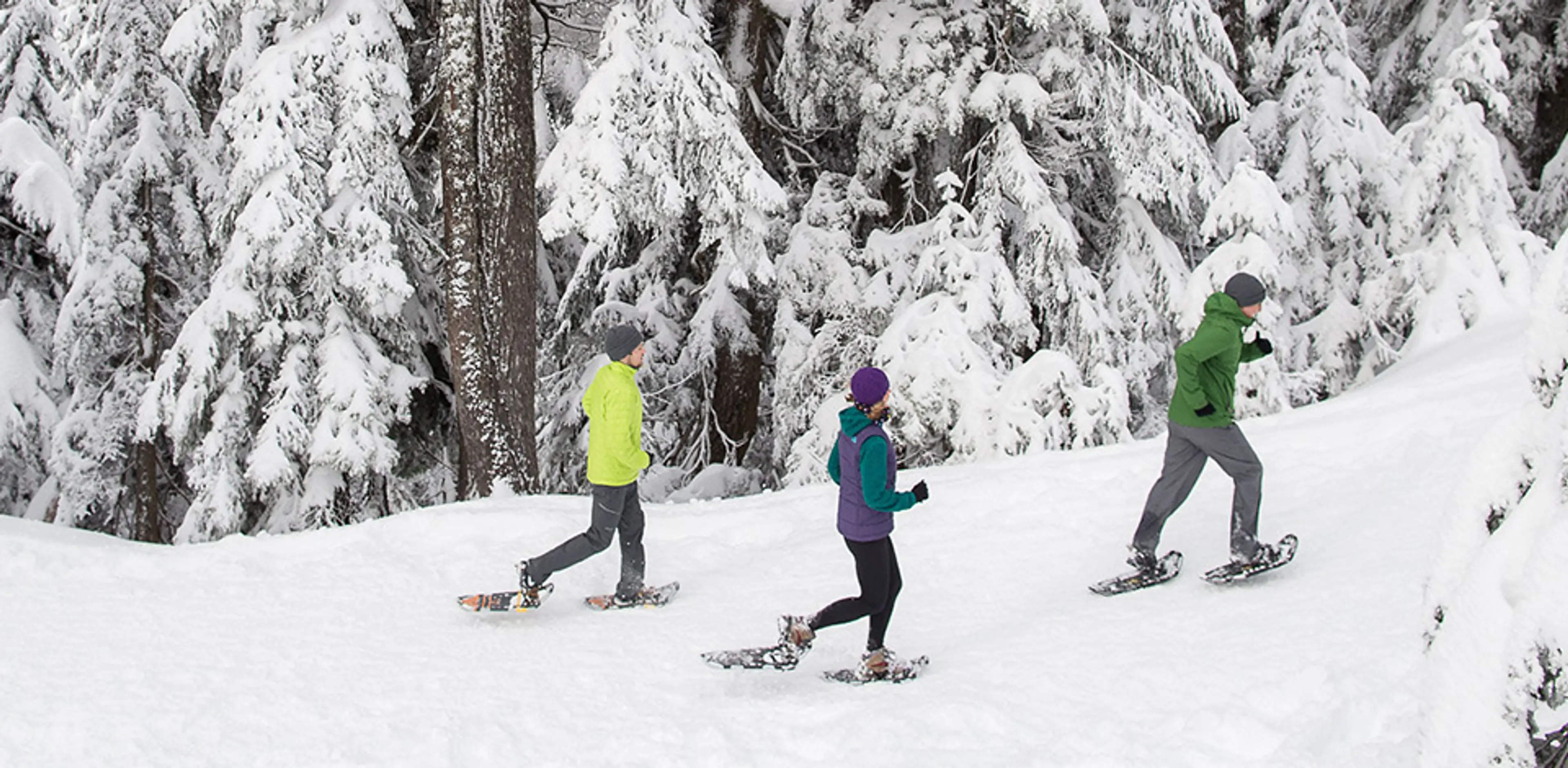 Where to Try Snowshoeing Near Vancouver: 5  Beginner-Friendly Places to Go