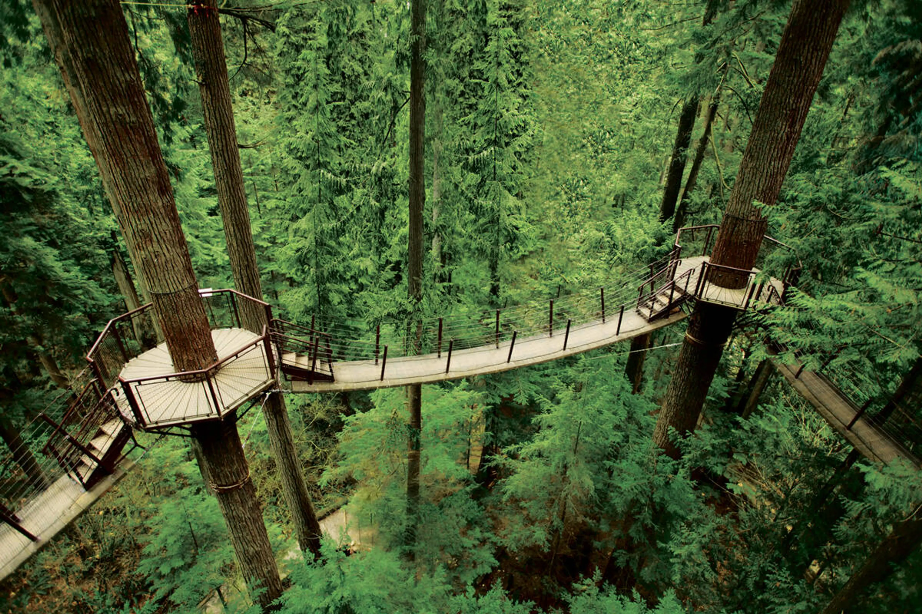 Treetop adventure at Capilano Suspension Bridge
