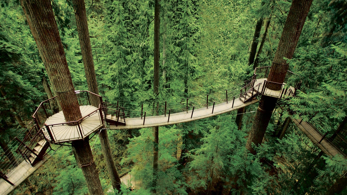 Treetop adventure at Capilano Suspension Bridge