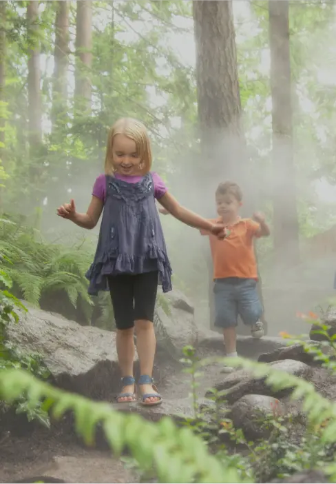 A young girl walks on rocks along a forest path, arms outstretched for balance, while a boy in an orange shirt follows behind her—an idyllic moment to add to any Vancouver itinerary amid mist and sunlit, bright green foliage.