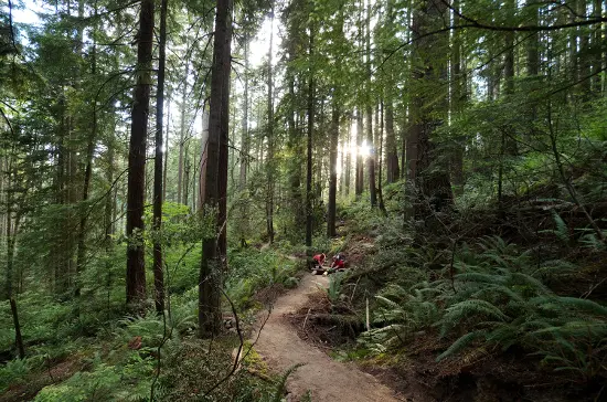 photo: Euan Forrester