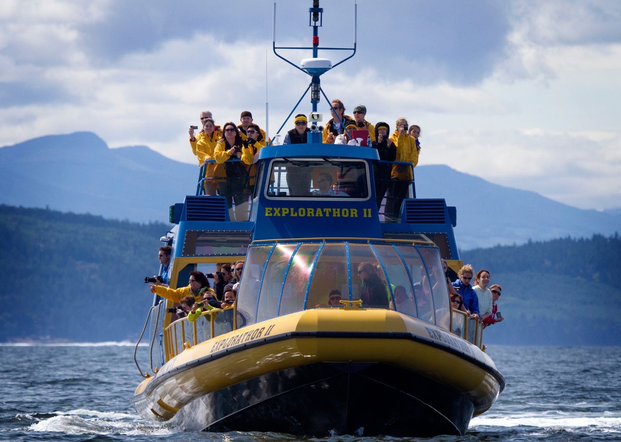 Vancouver Whale Watch