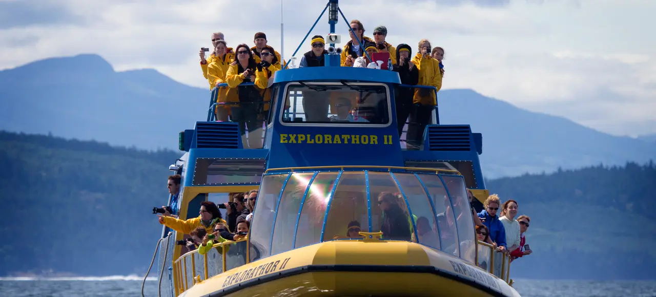 Vancouver Whale Watch