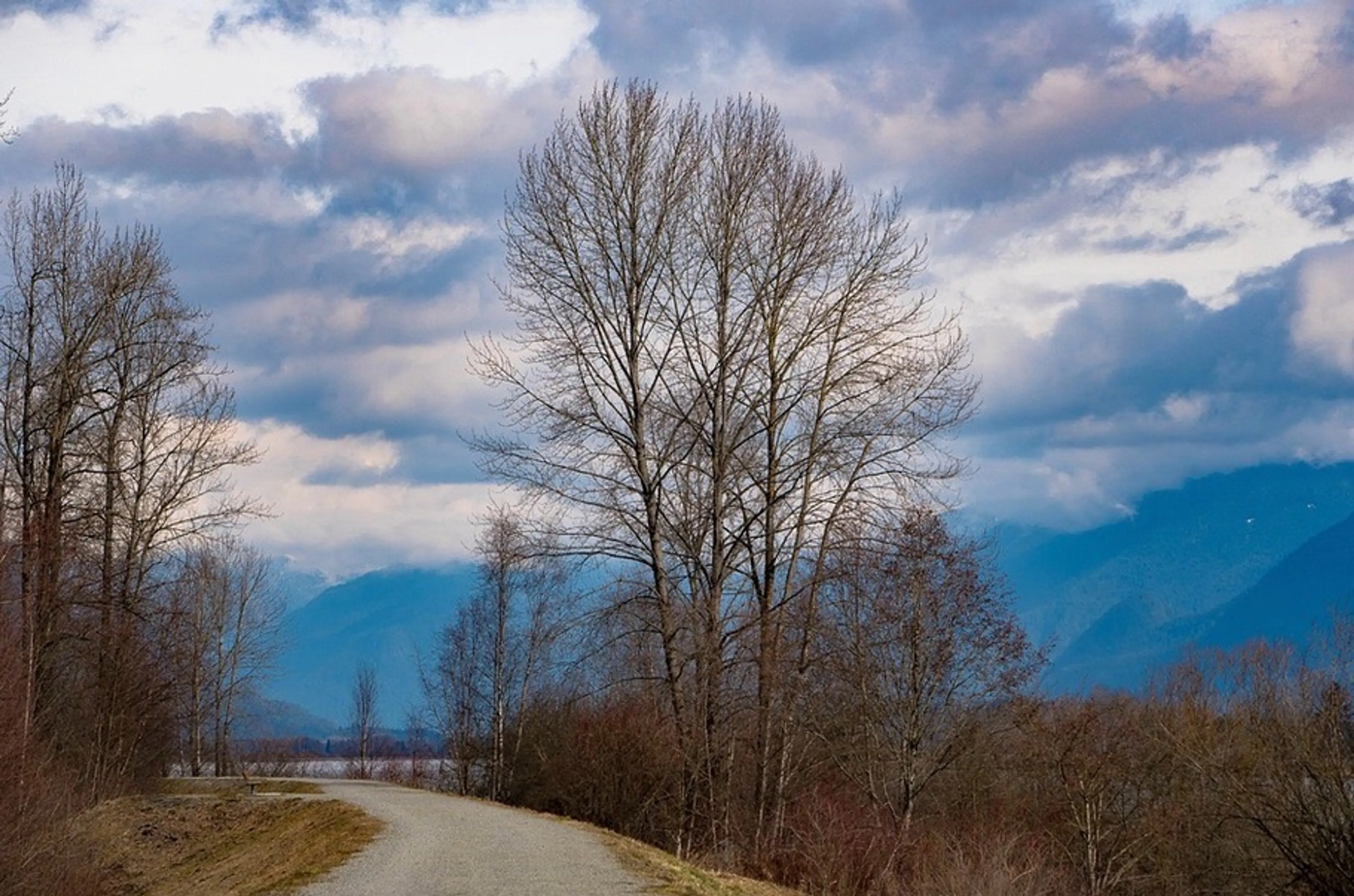 The gravel path of the Poco Trail runs past trees near the river
