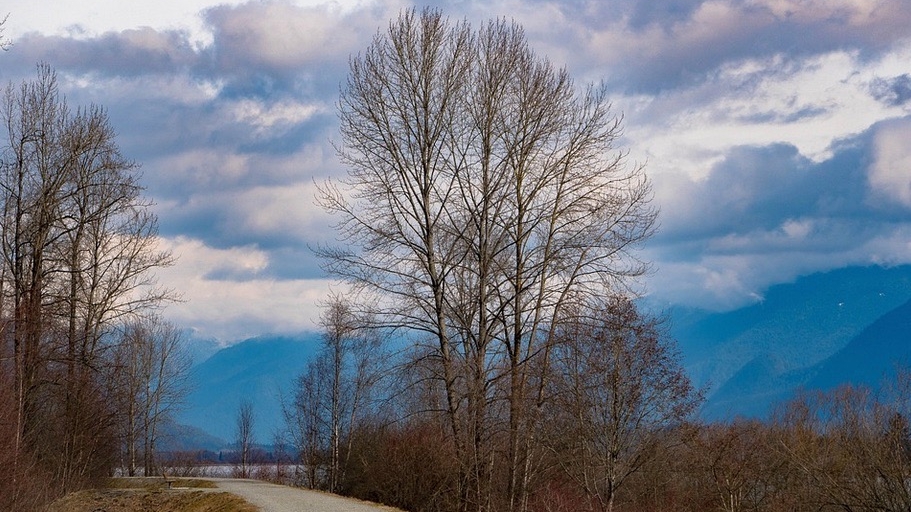 The gravel path of the Poco Trail runs past trees near the river