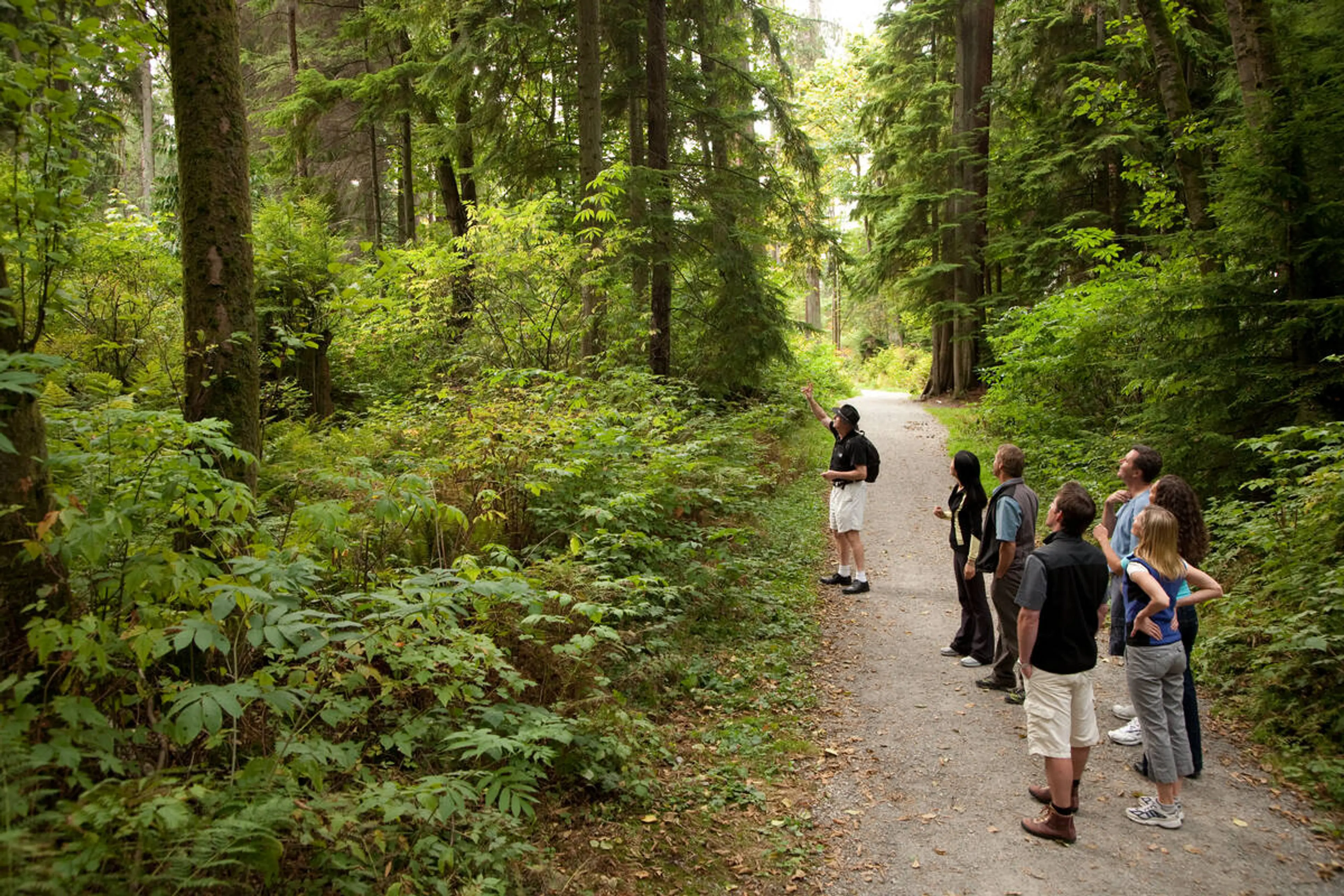 People on a forest walking tour in Stanley Park. 