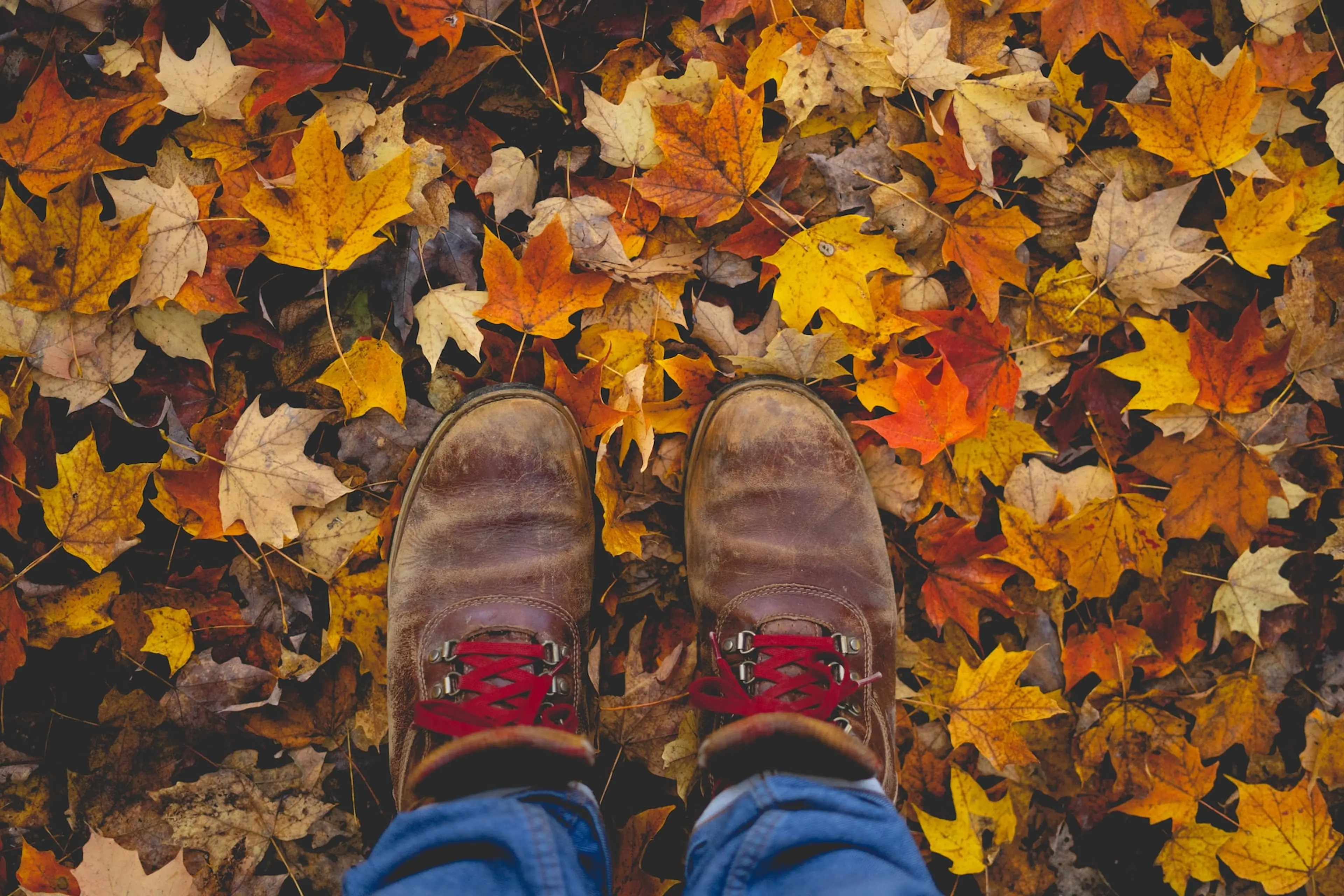 10 Tips for Safe Fall Hiking in Vancouver