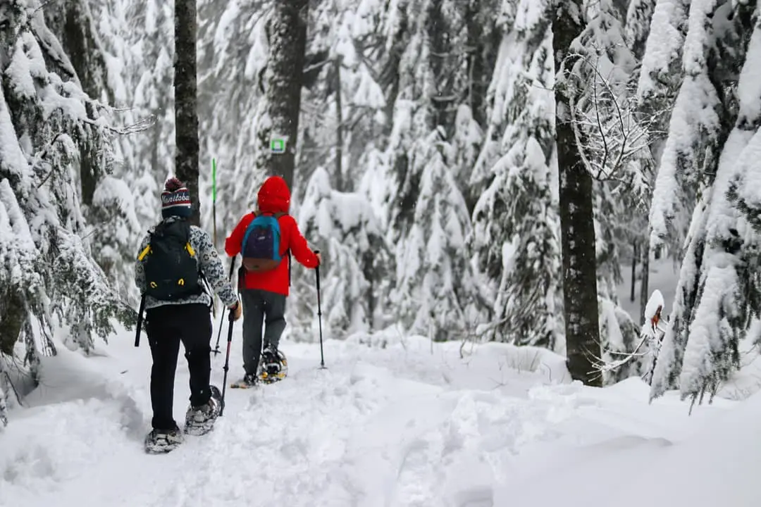 Two people snowshoeing at Cypress Mountain