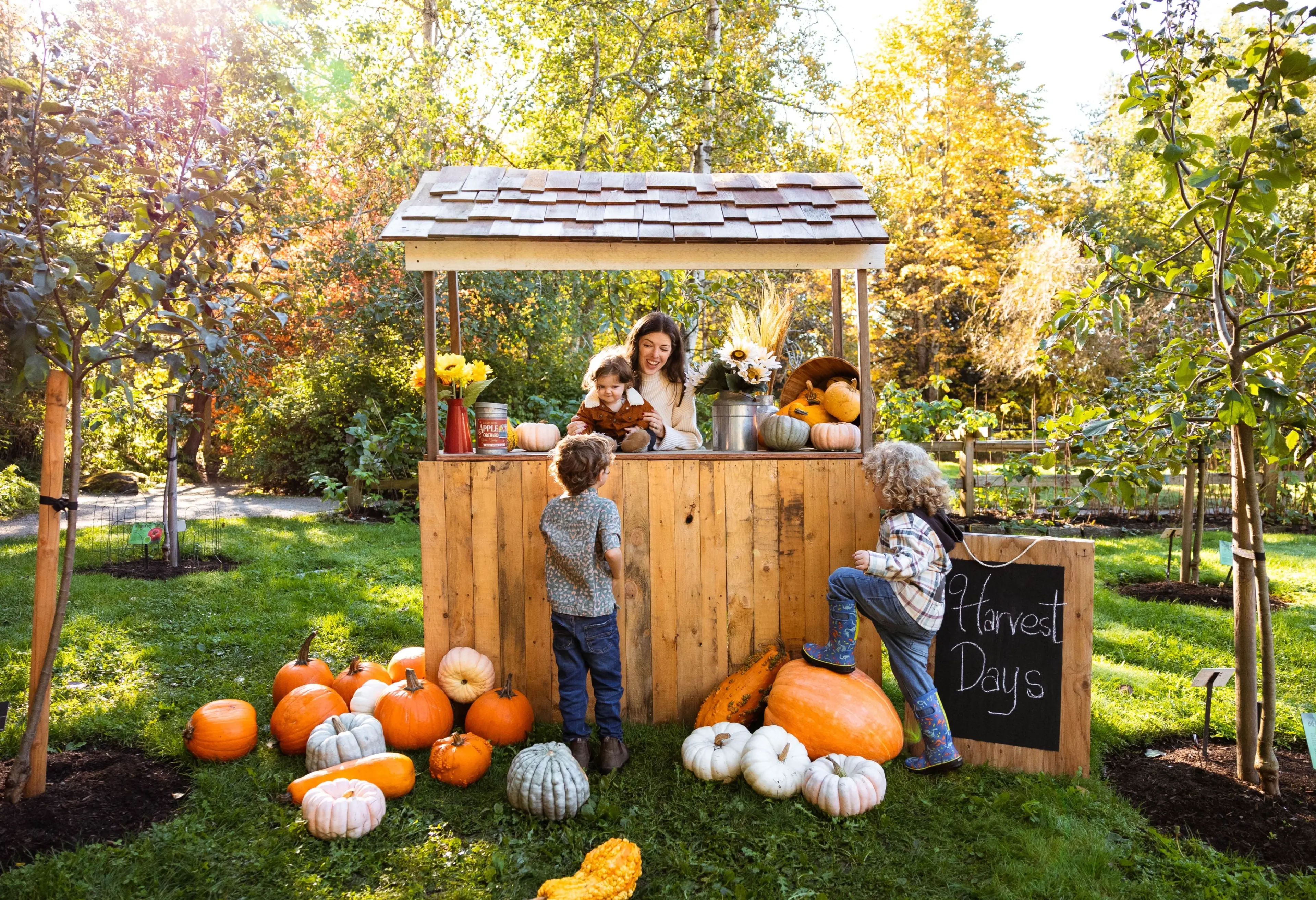 w-4851h-3234-131138-VanDusen-Harvest-Days-2023-1111