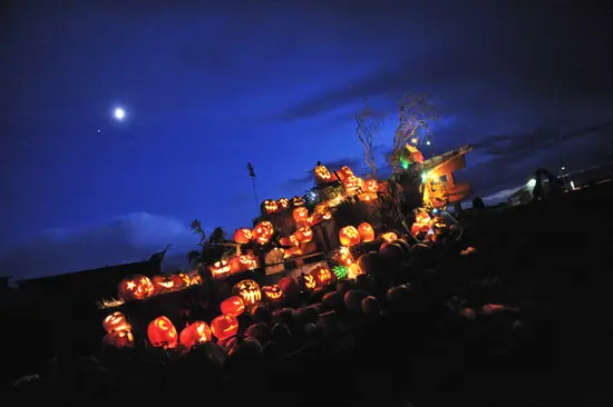 Photo: Westham Island Herb Farm