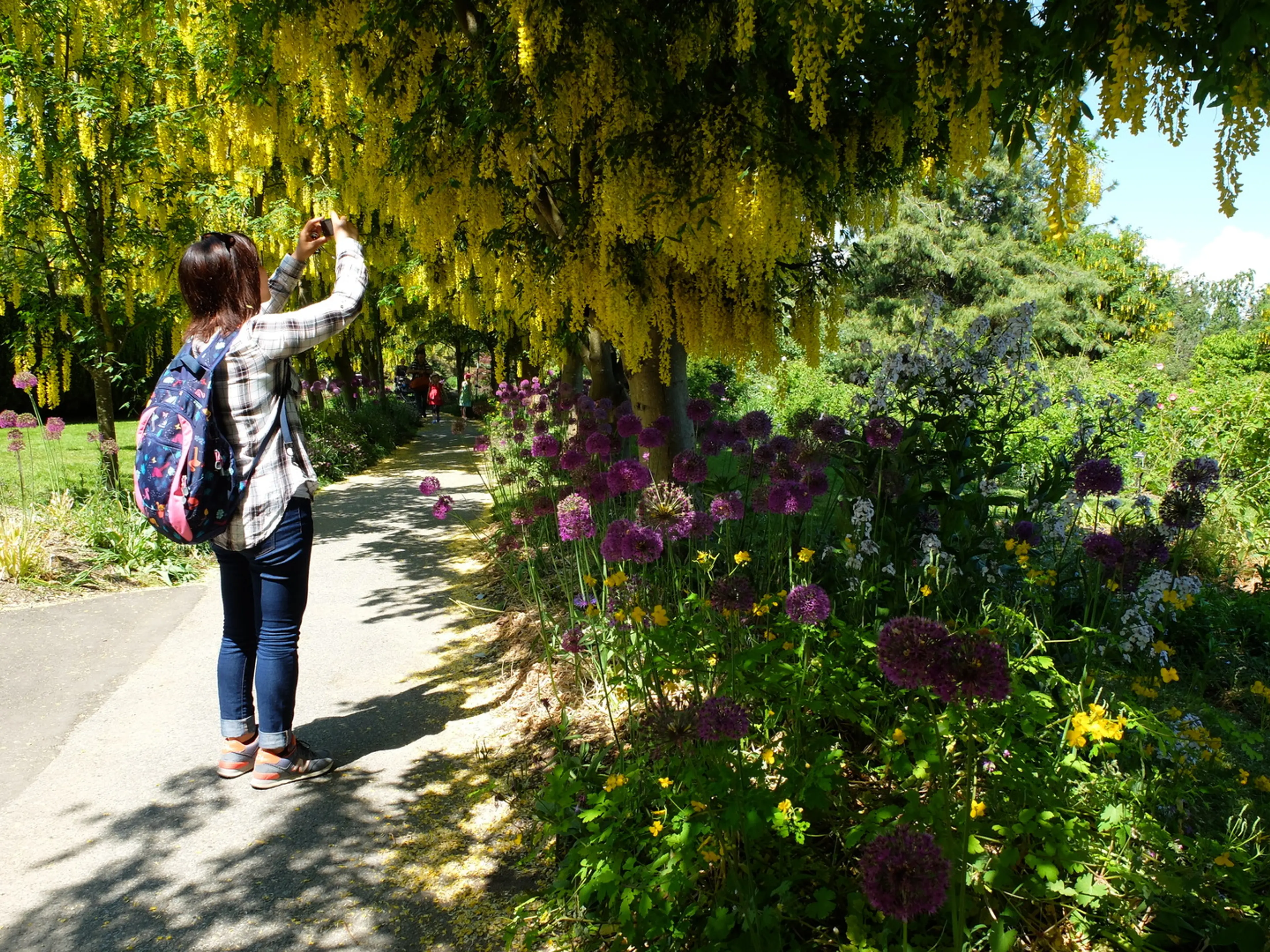 A woman takes a photo of flowers at VanDusen Botanical Garden in Vancouver