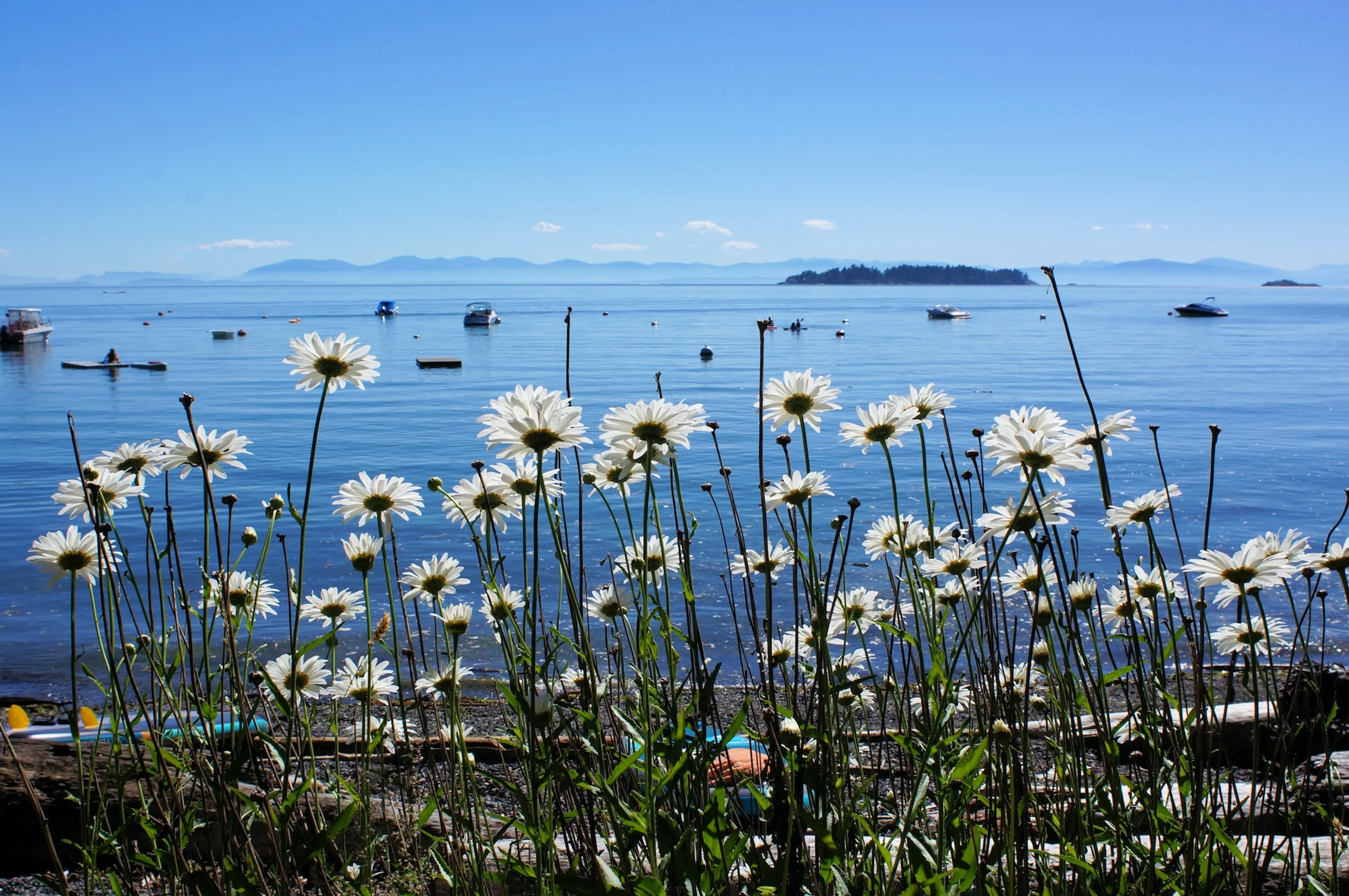 7 Ways to Get Outdoors on Bowen Island