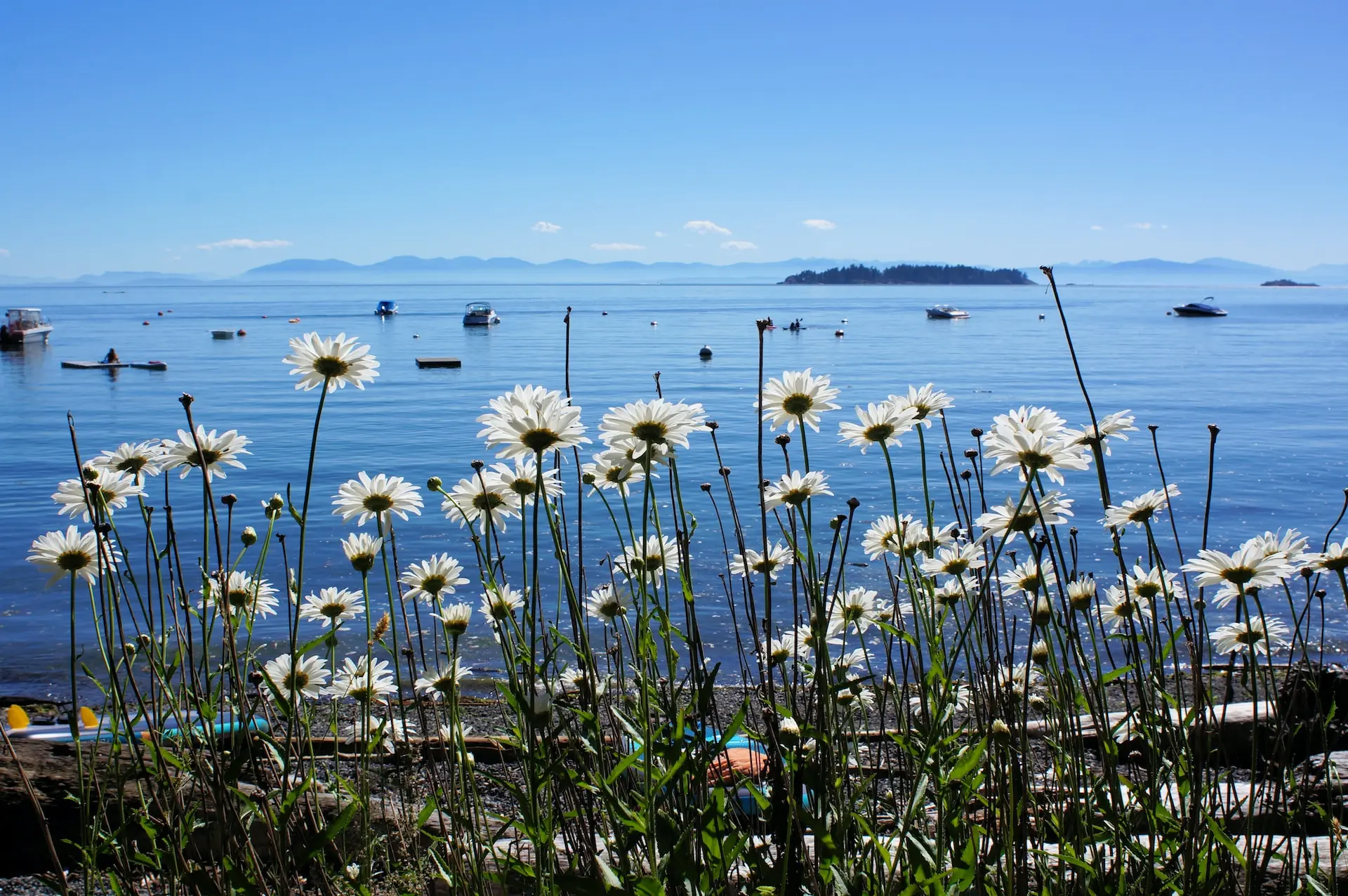 7 Ways to Get Outdoors on Bowen Island