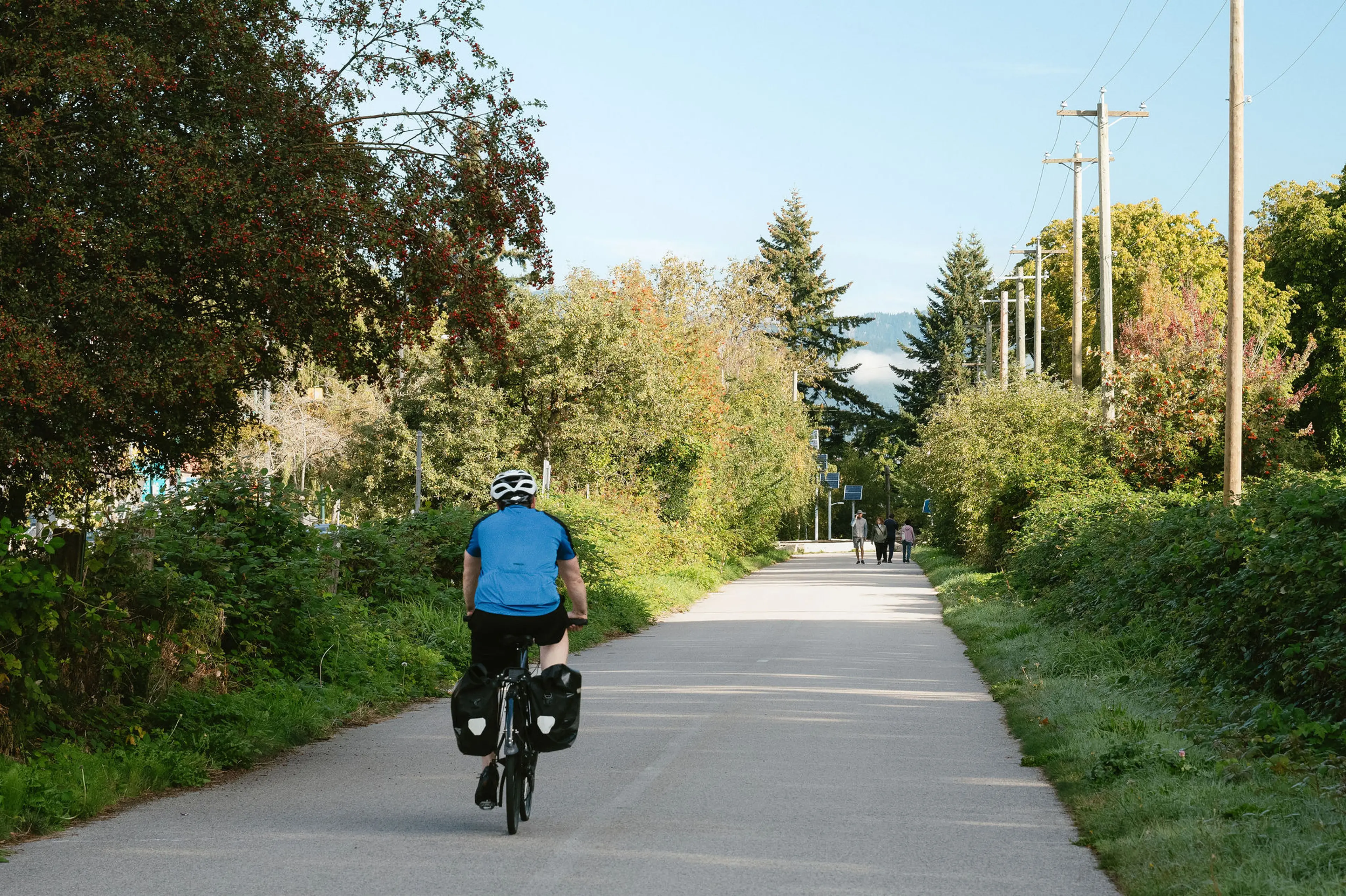Person wearing a helmet riding a bicycle on a tree-lined path with three people walking in the distance.