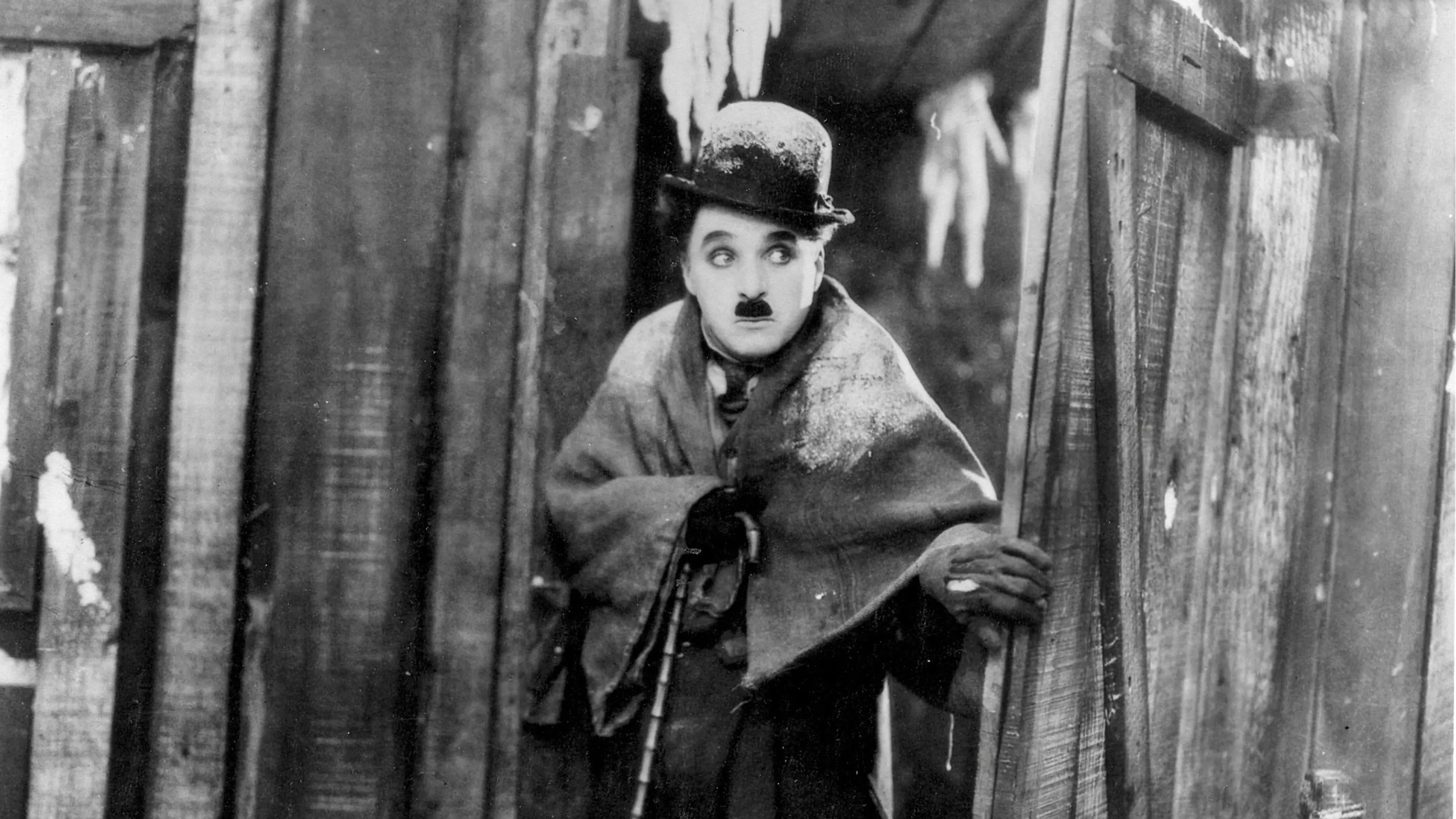 thegoldrush1925