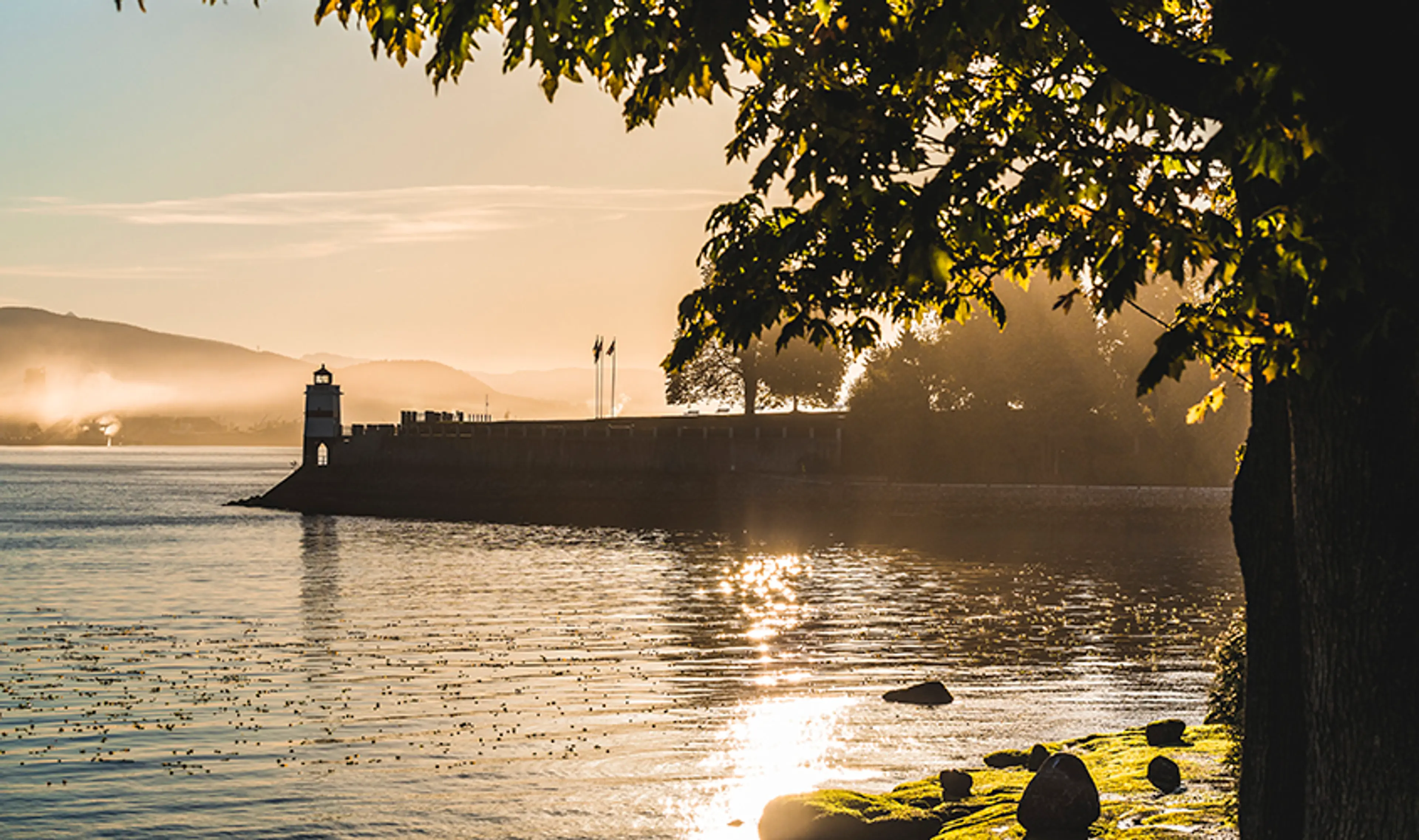 Fifty Shades of Vancouver: A Fan Favourites Tour