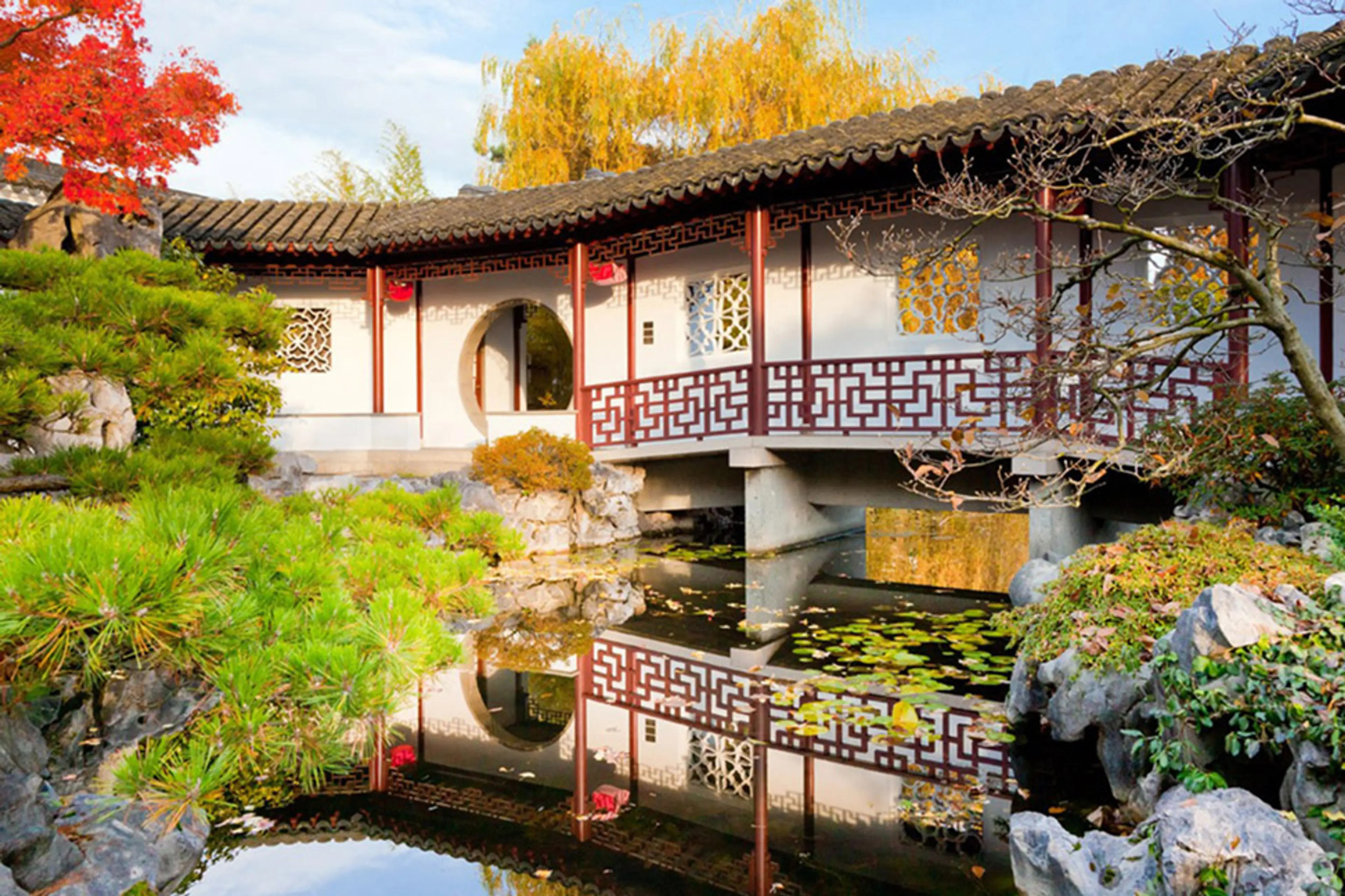 Unique Vancouver Experiences That Are Good for the Soul