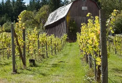 langleybarn0-571bc2d25056b3a_571bc3d8-5056-b3a8-494d669efdf7a9ed