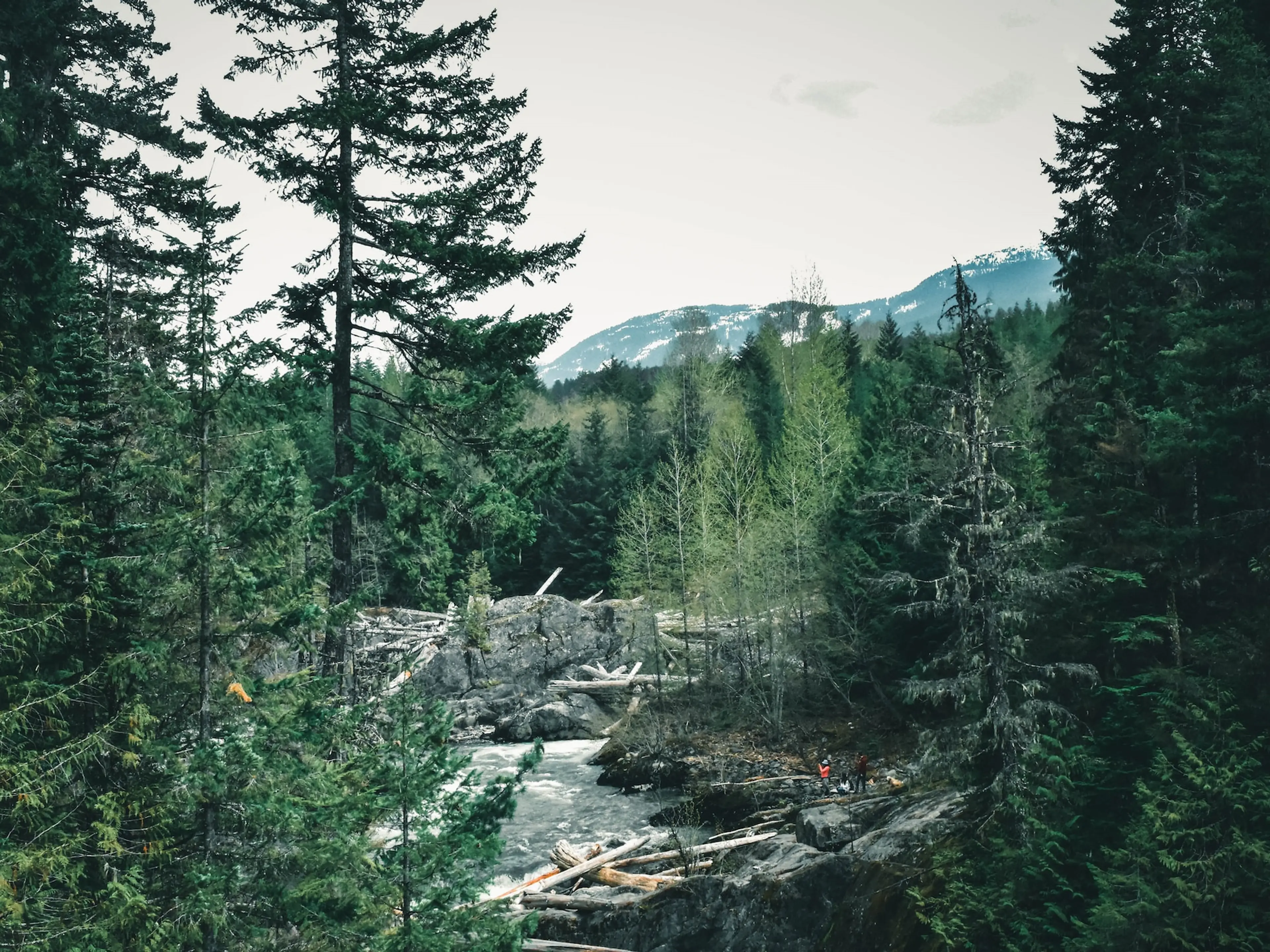 View of the Cheakamus River from the Trash Trail near the Whistler Train Wreck. Photo: Ali Kazal/Unsplash