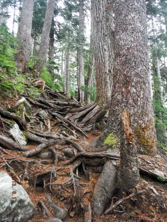 Hike St Marks Discover Outdoors4