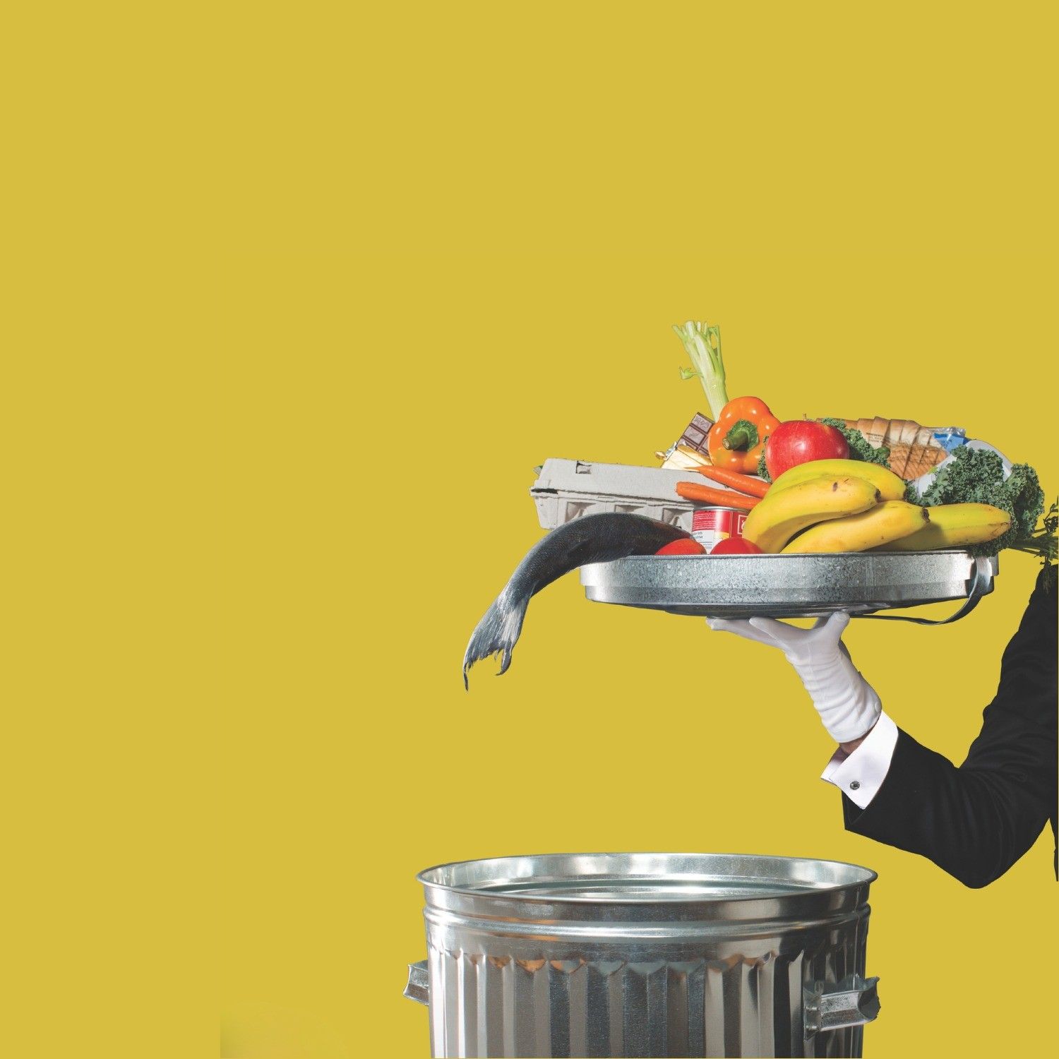 Back on the Big Screen: Just Eat It, A Food Waste Story