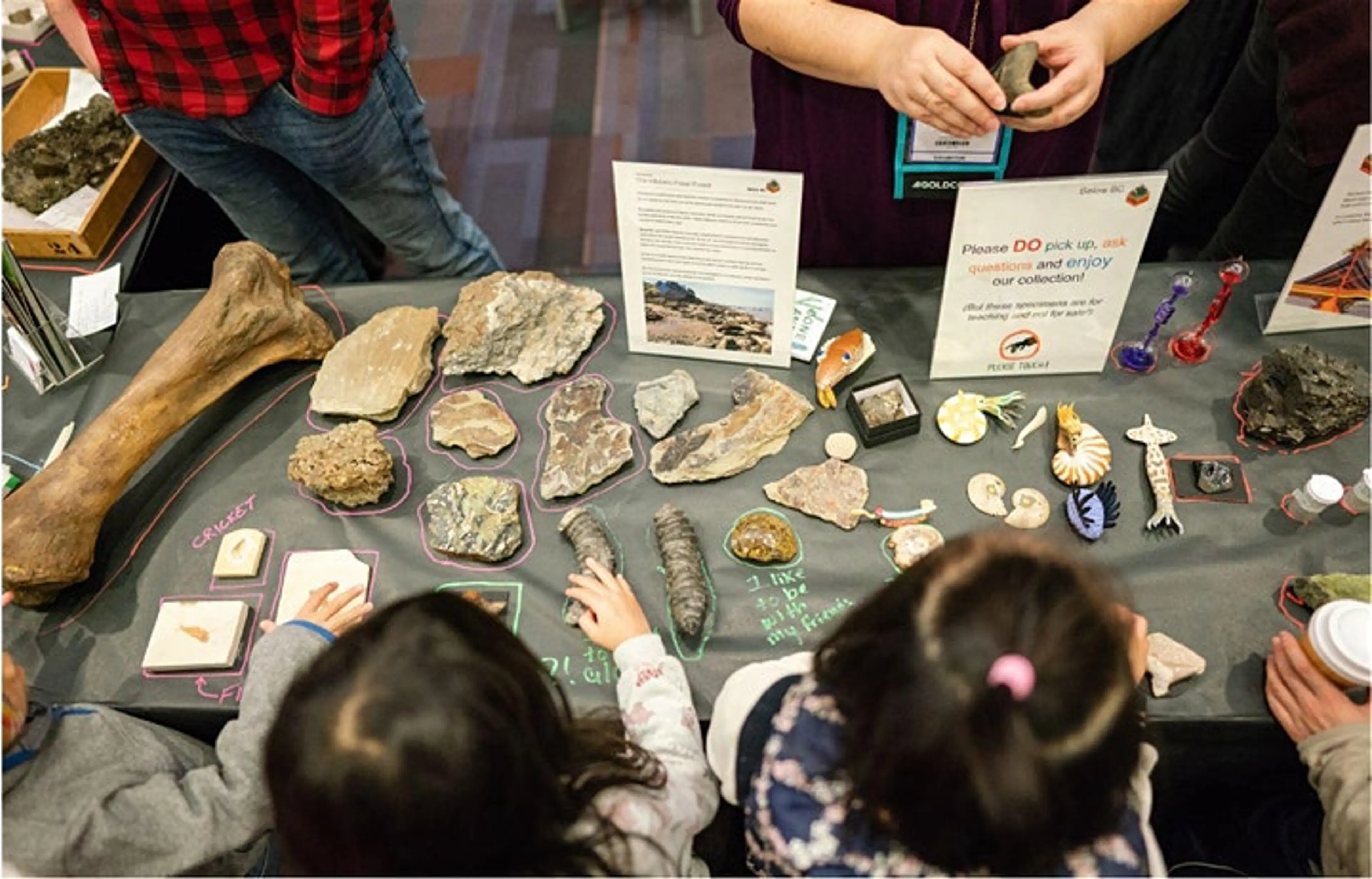 discovery day vancouver free
