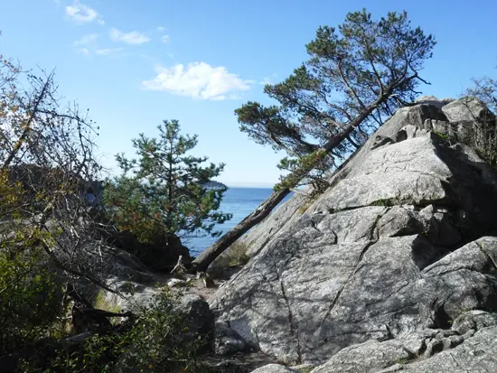 whytecliff-park-discover-the-outdoors3