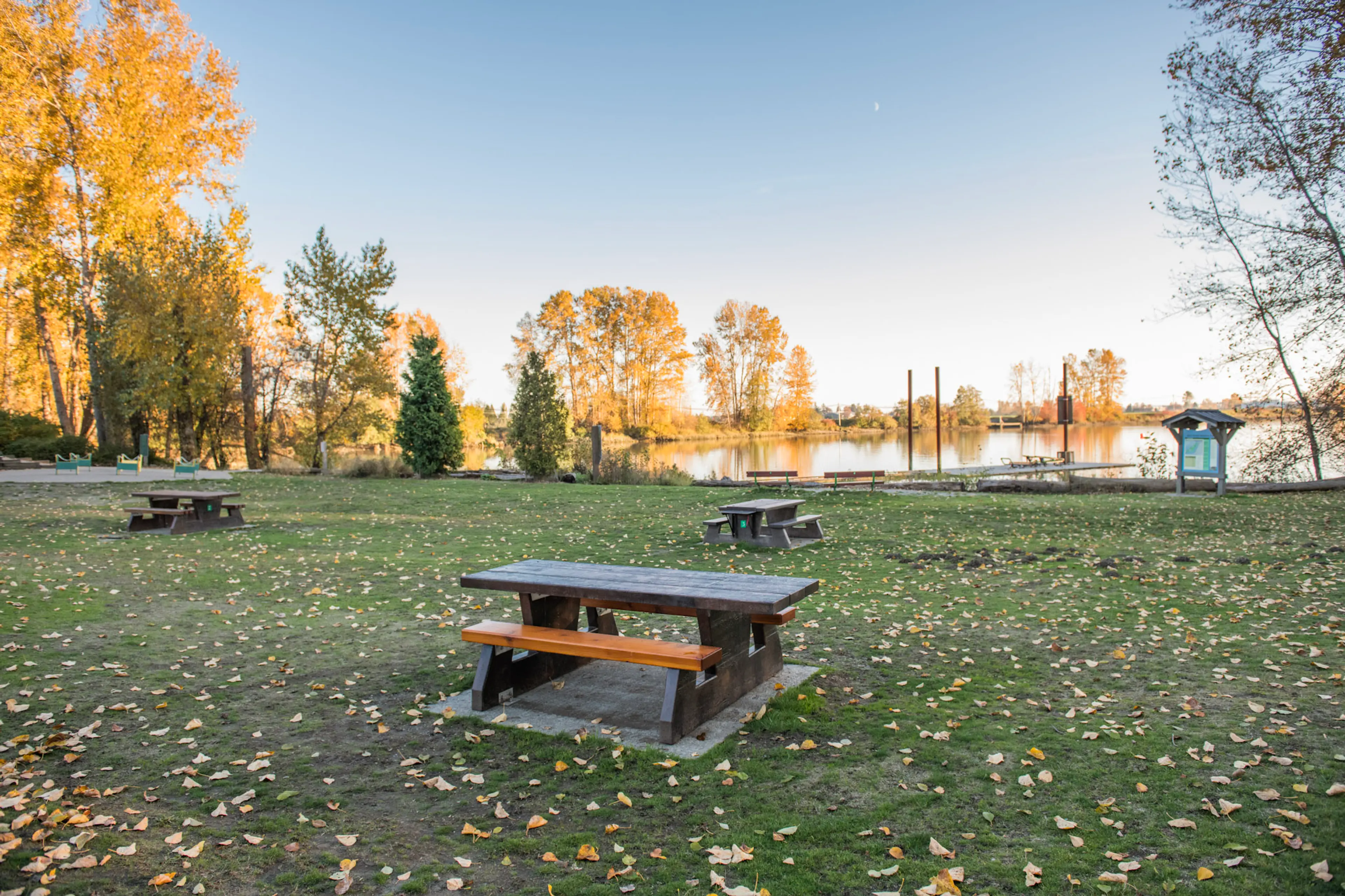 Picnic area at Deas Island Regional Park