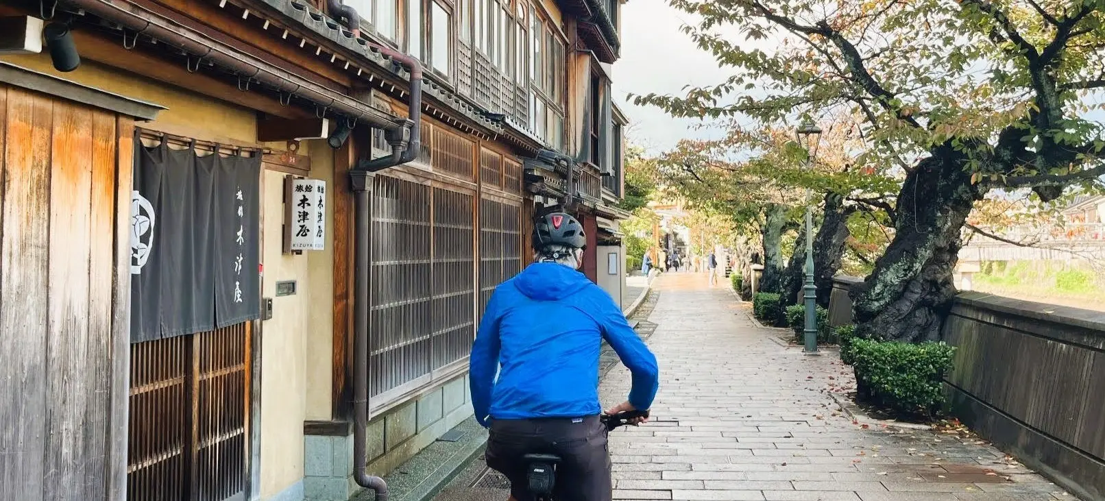 w-1612h-907-8196cf-IMG_3679