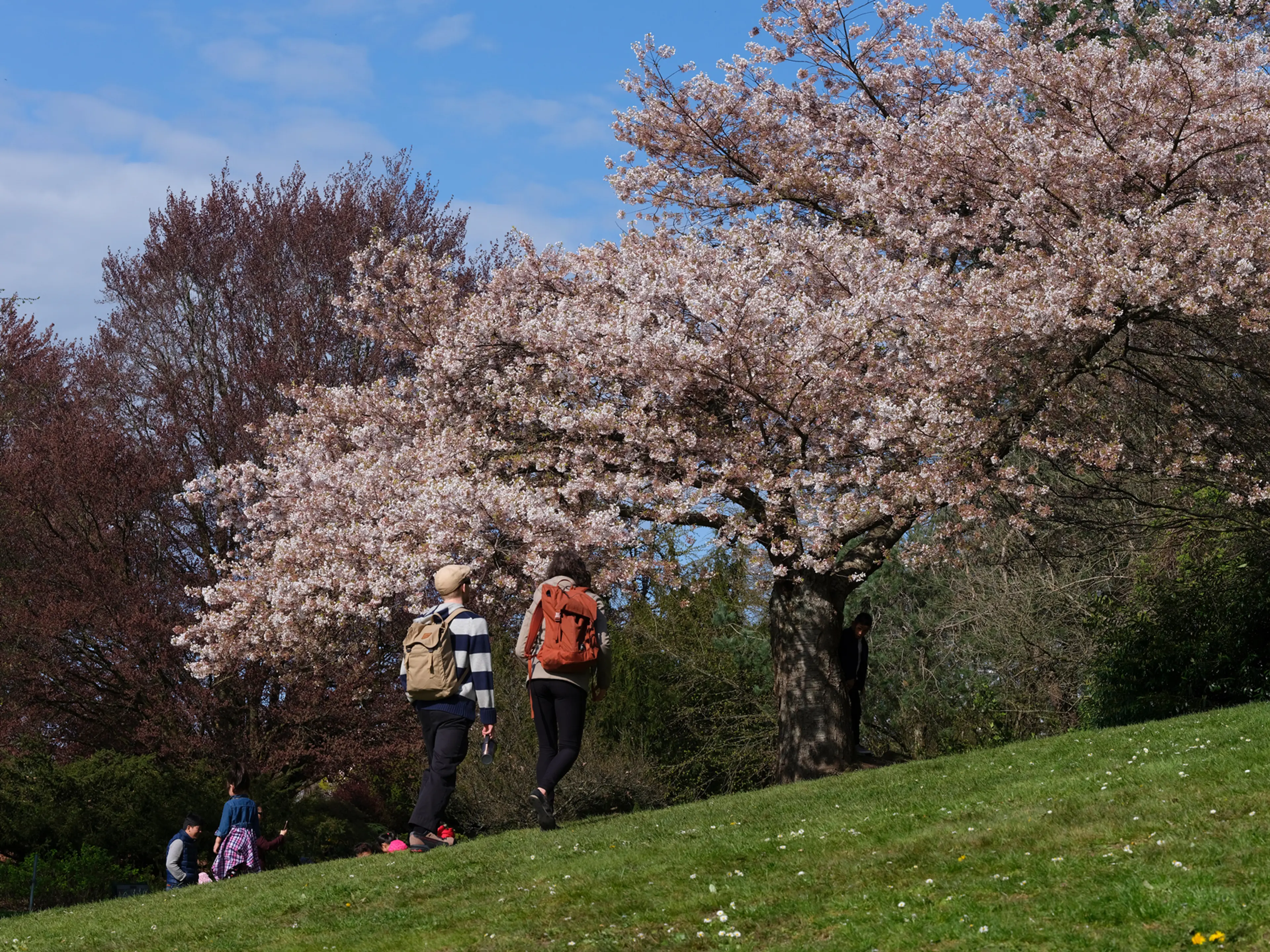 9 Kid-Friendly Outdoor Things to Do in Vancouver This Spring