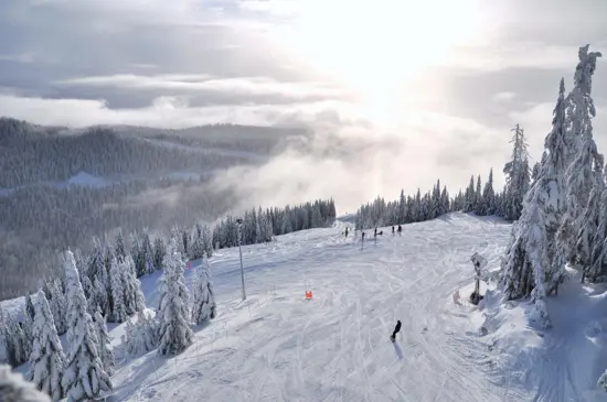 Sourced from Cypress Mountain Facebook page