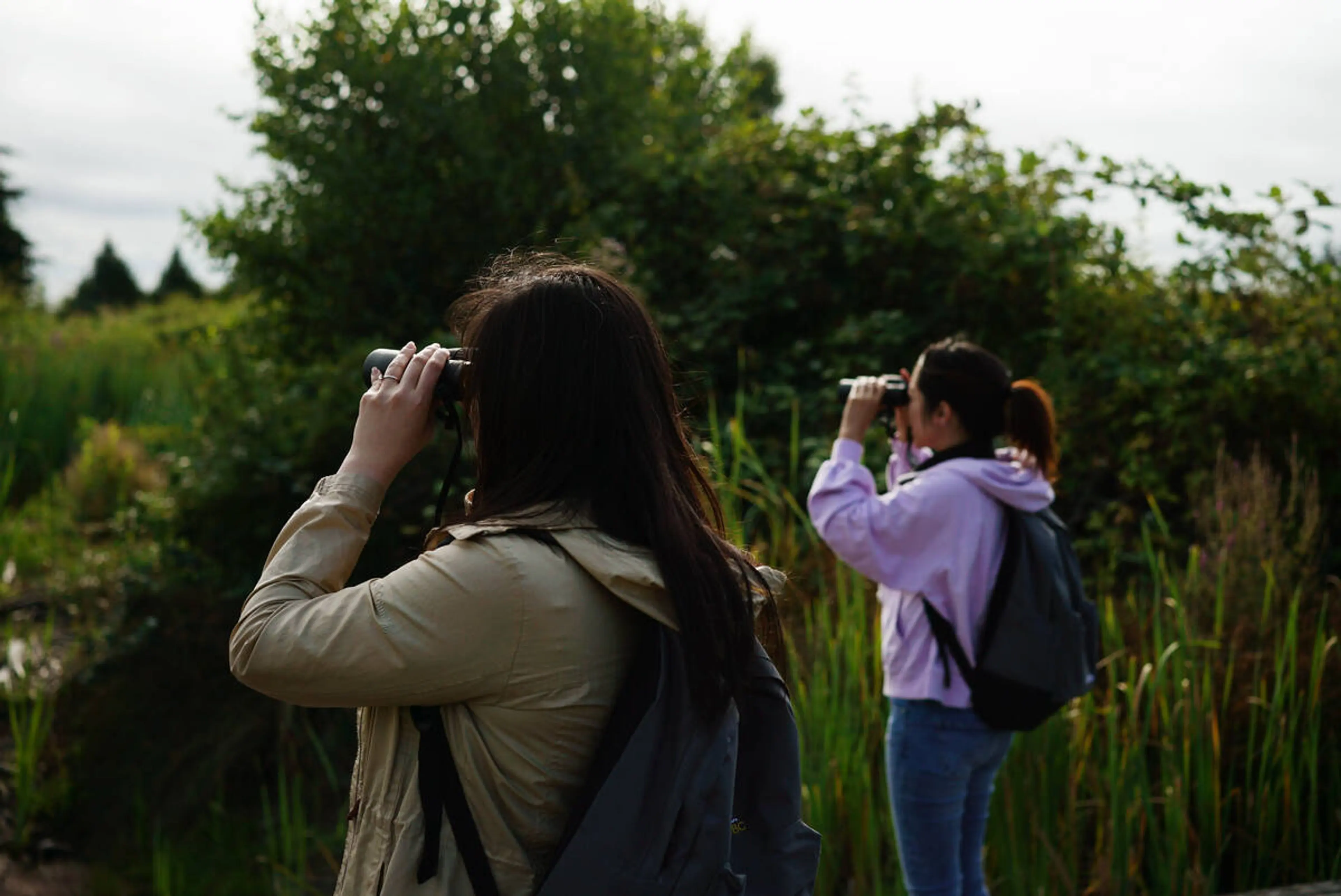 Two people bird watching. 