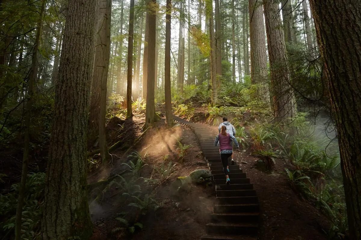 Two runners on the Grouse Grind trail surrounded by a lush rainforest in Vancouver.