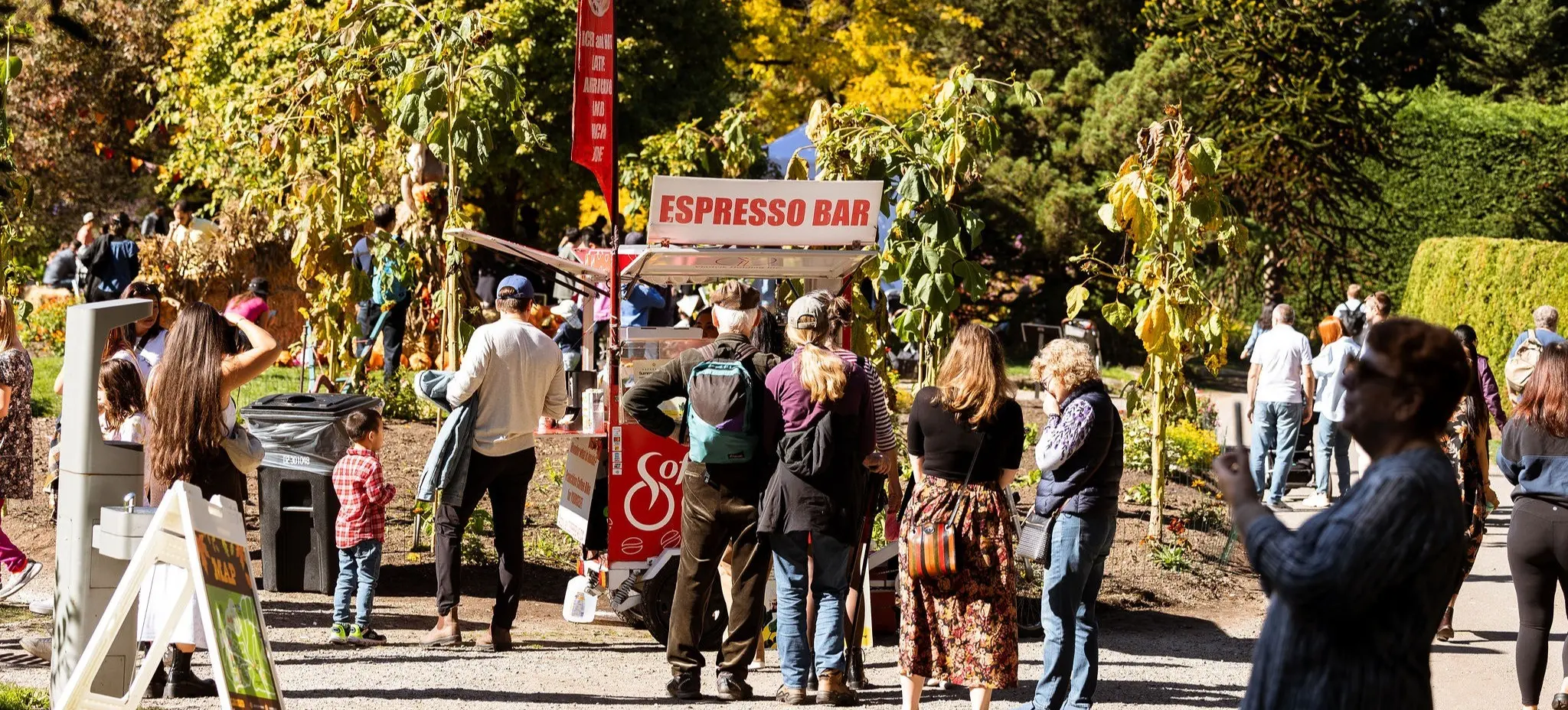 w-2048h-1365-39cbcc-5TMTSKW~