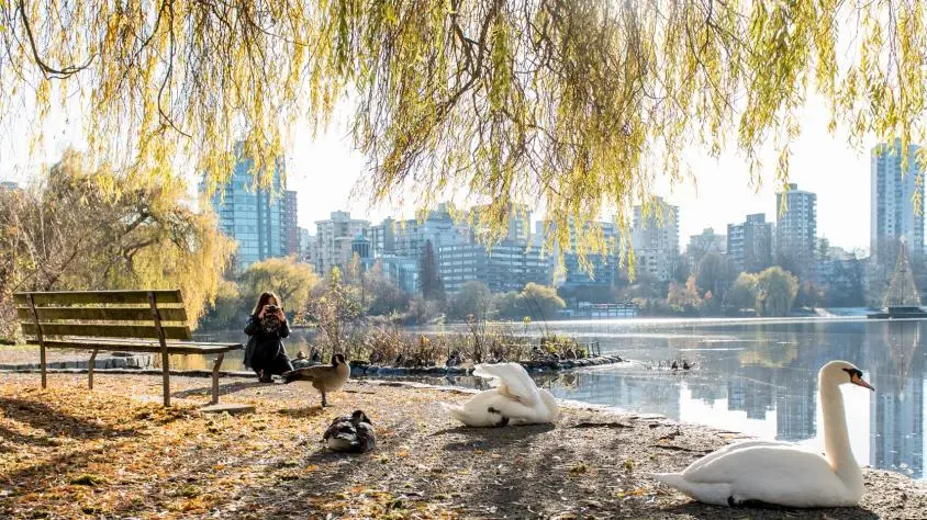 Hipster Trend Alert: Birding in Vancouver