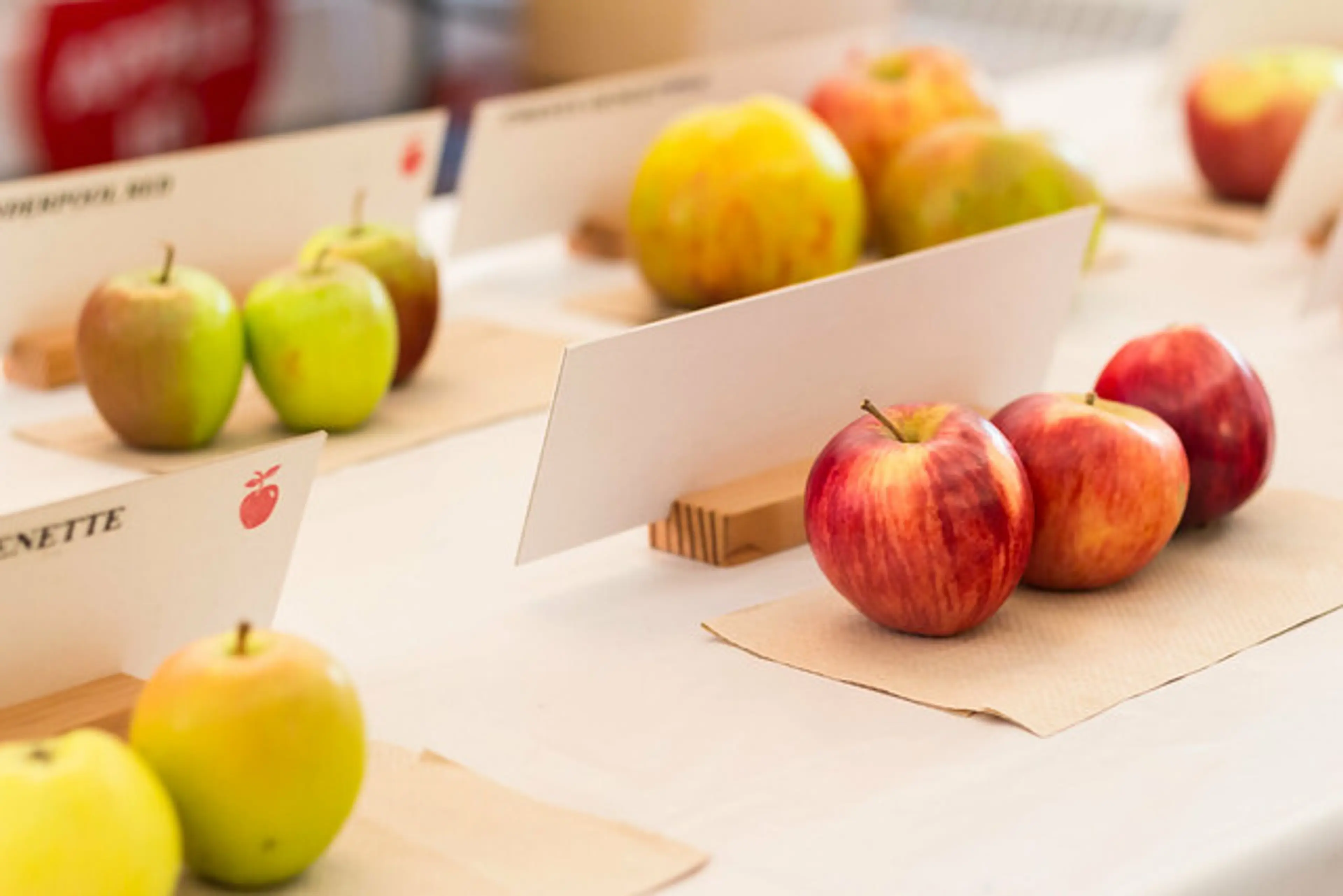 apple festival vancouver