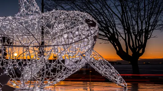 Lumiere to Illuminate West End’s Public Spaces Starting December 3