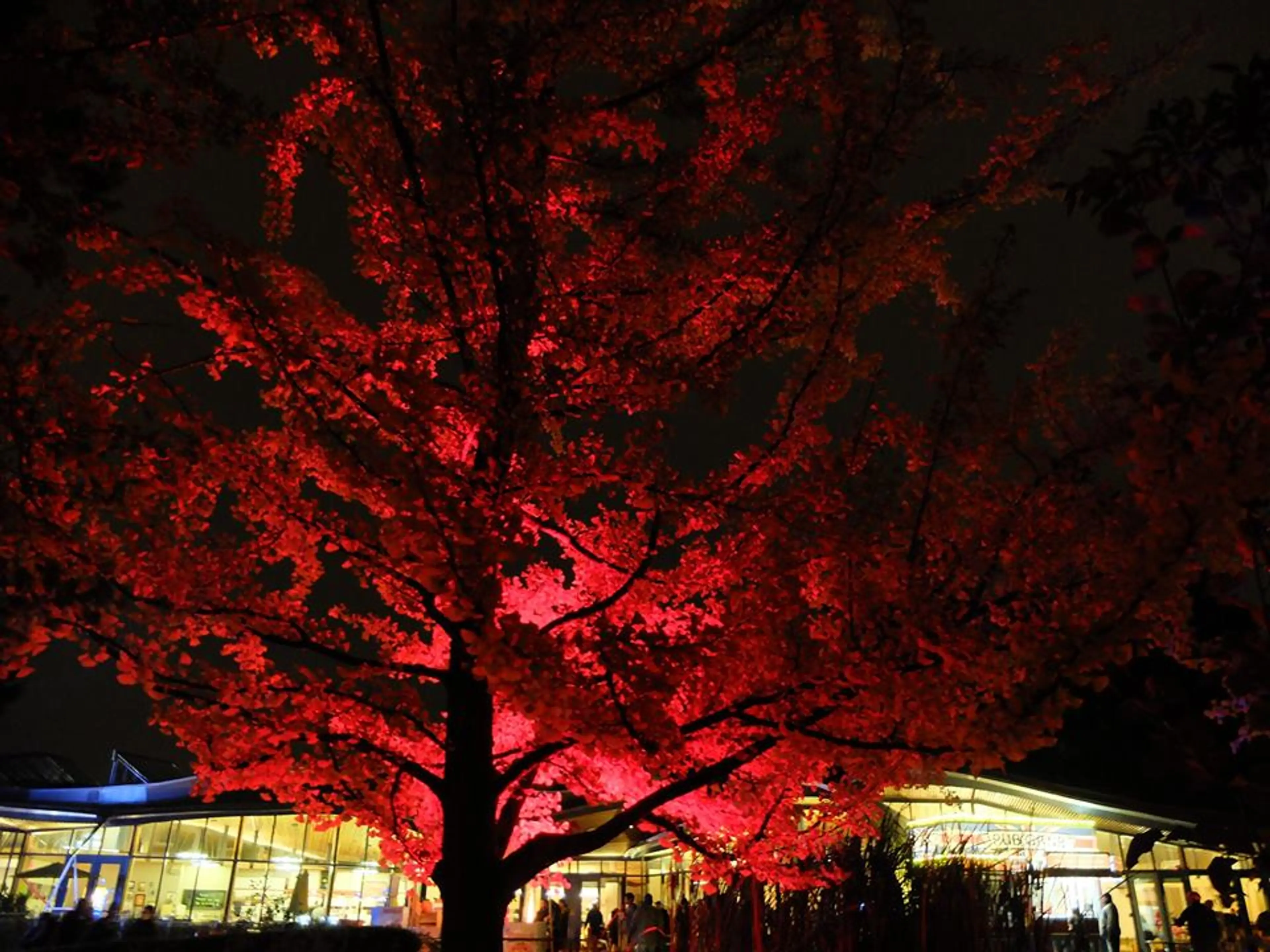 VanDusen Vancouver