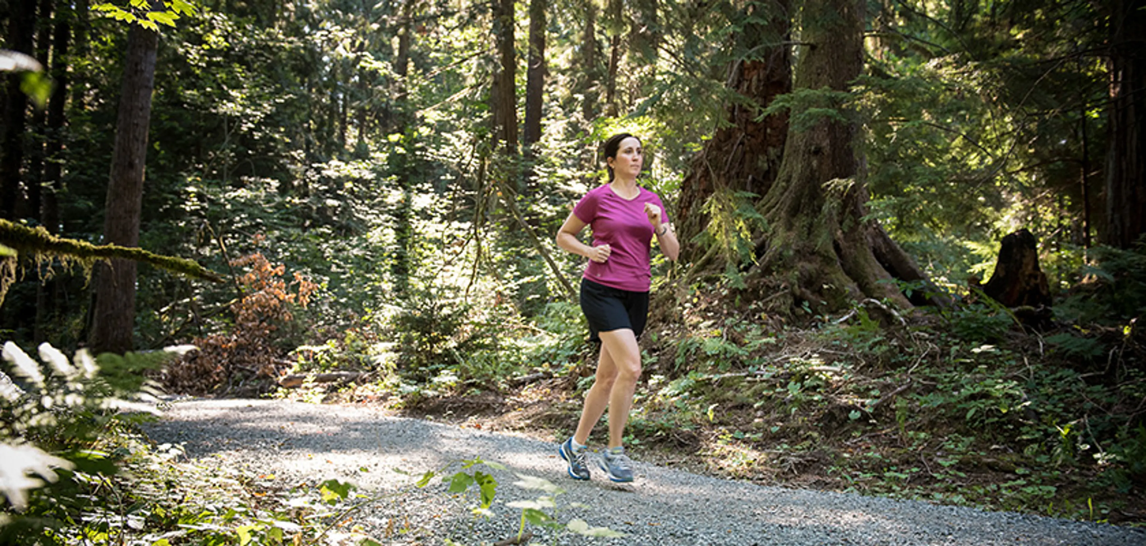 Traboulay PoCo Trail