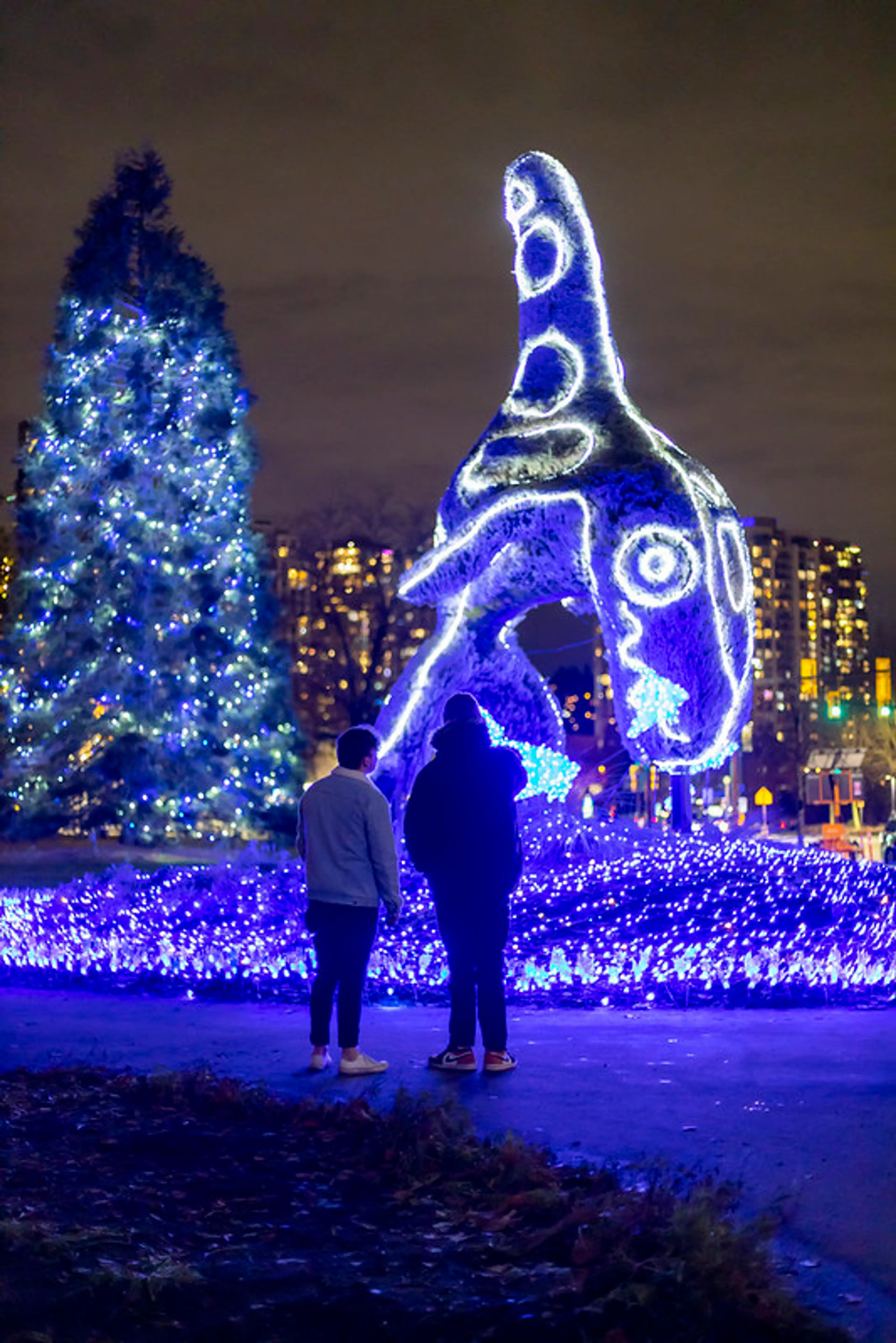 Lights at Lafarge in Coquitlam