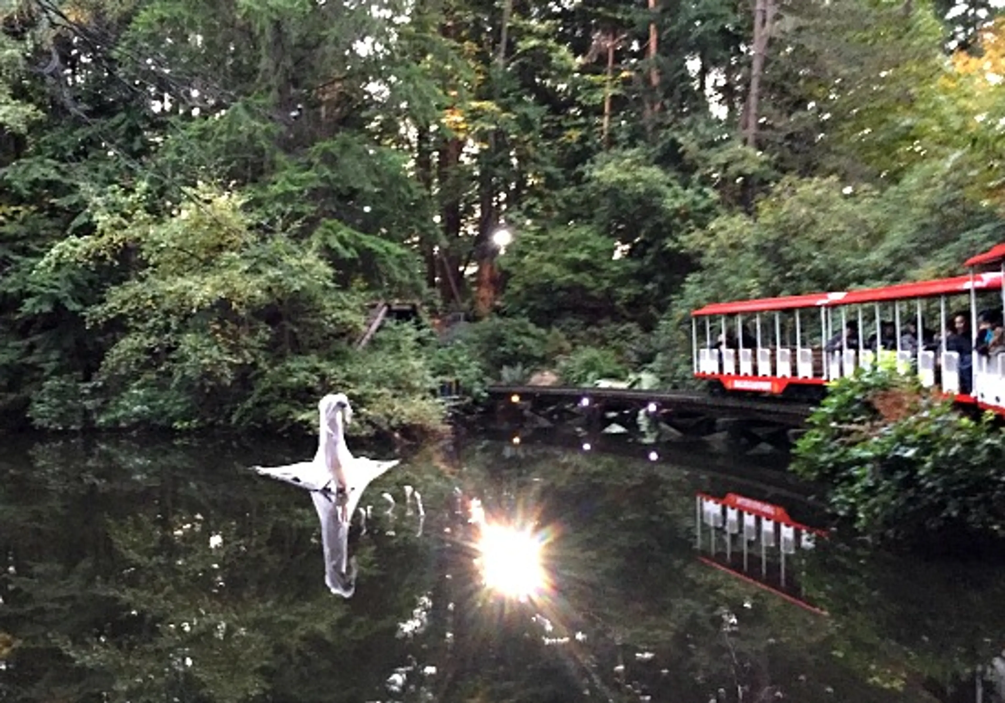 Stanley Park Ghost Train | Photo: Bianca Bujan