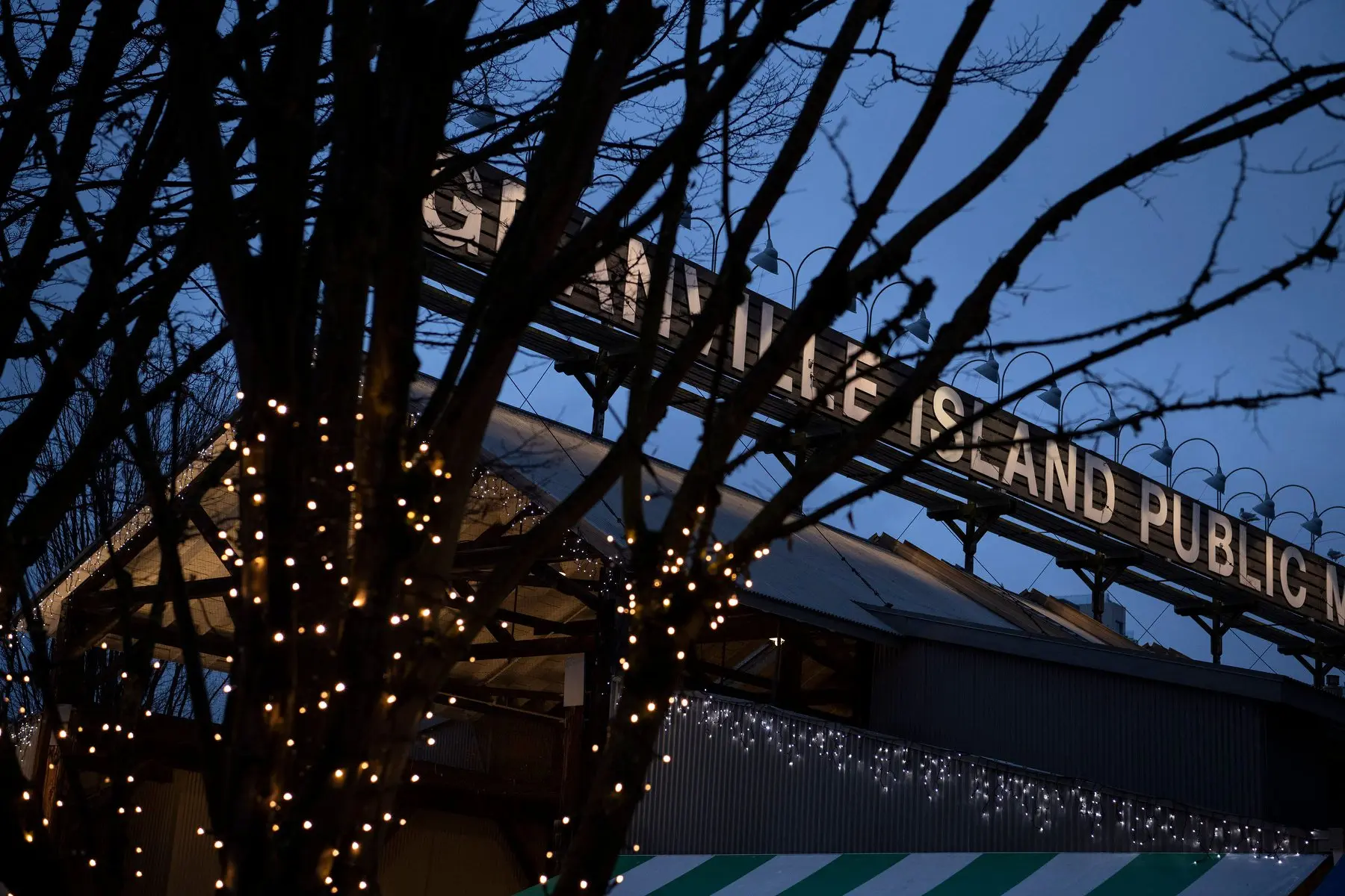 Granville Island tree lights