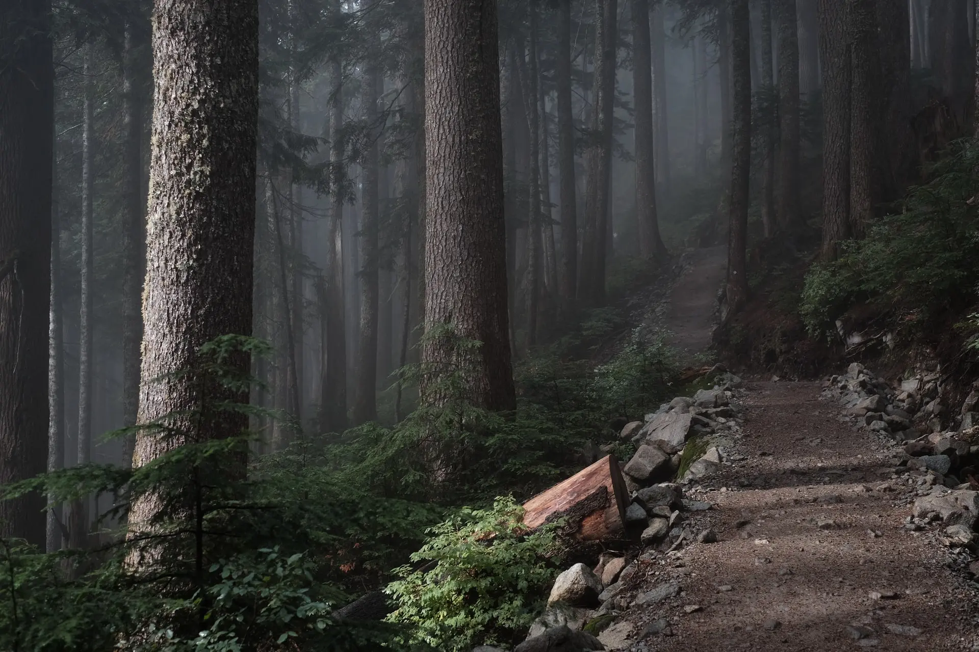 Howe Sound Crest Trail to St. Mark's Summit