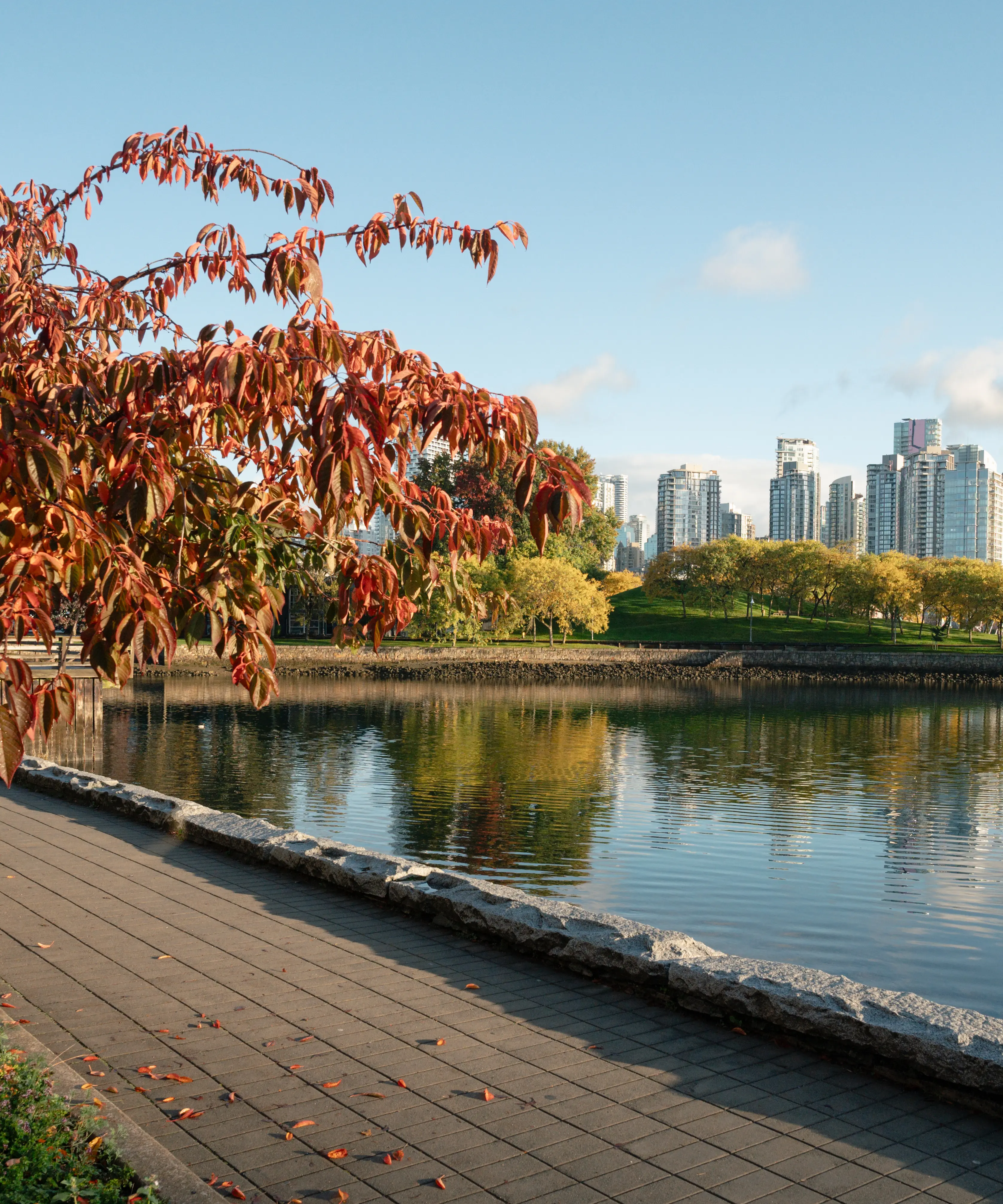 Waterfront walkway with autumn trees on the left and city skyline across the water under a blue sky.