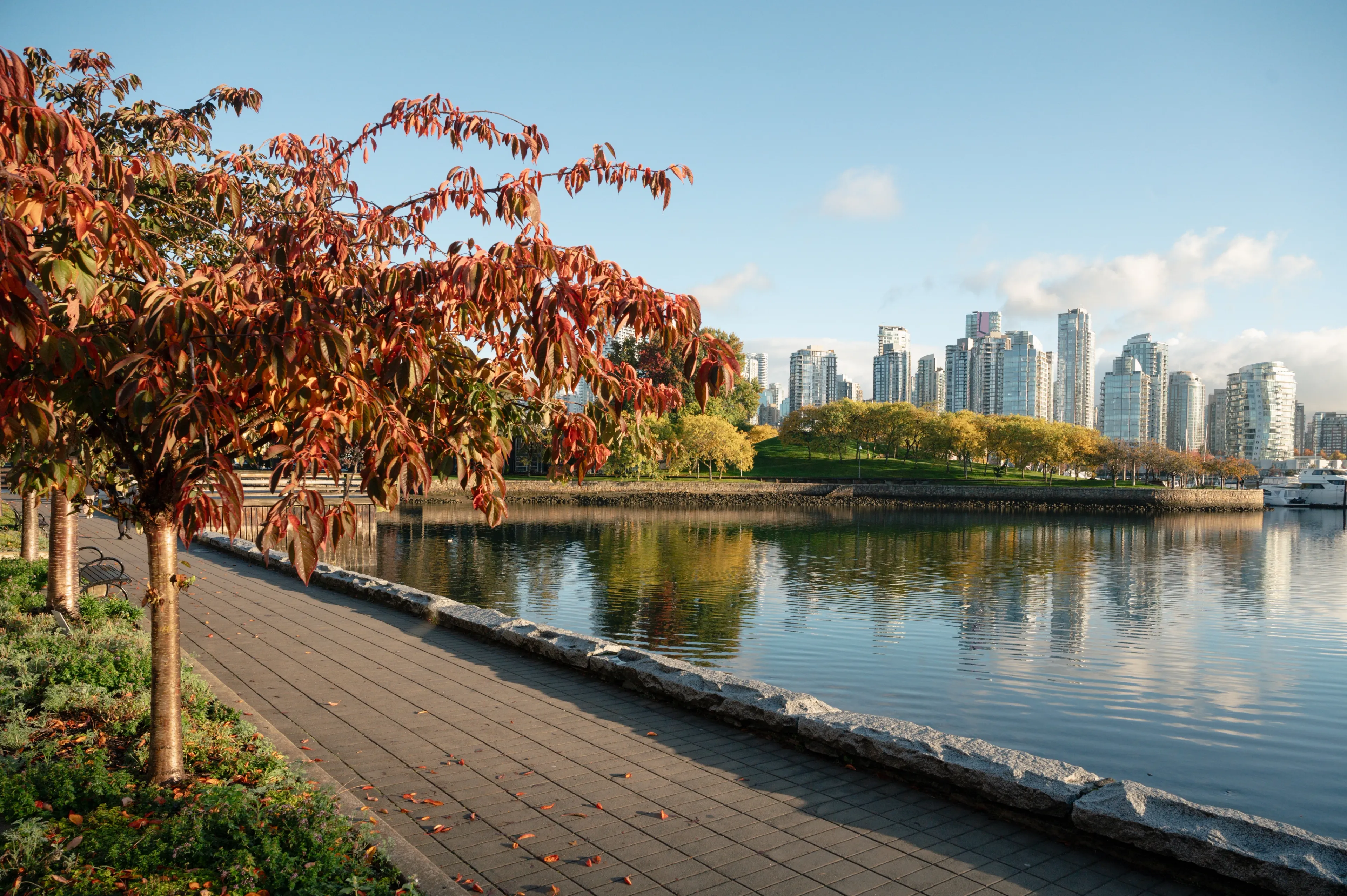 Waterfront walkway with autumn trees and city skyline reflected in calm water under blue sky.
